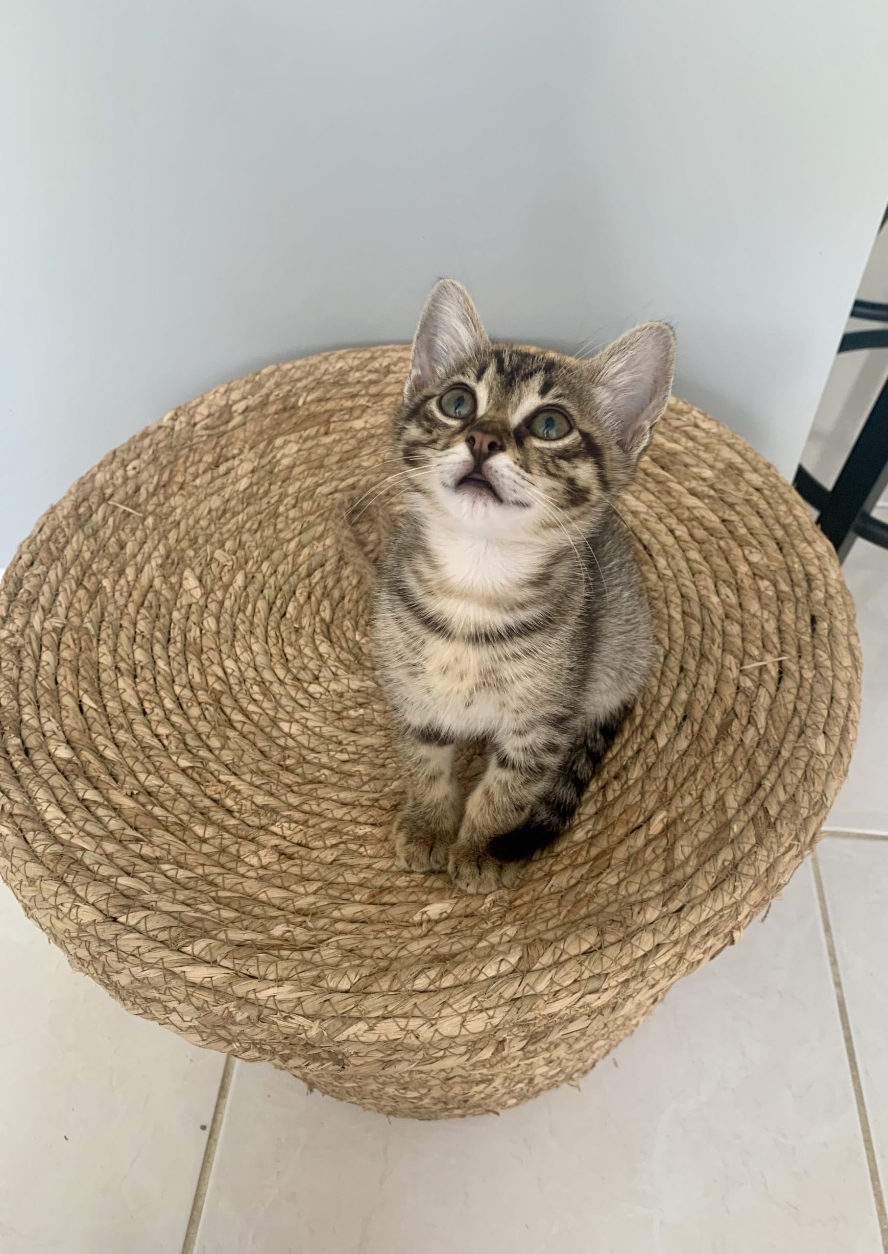 72E7C5AA-DDBF-4B18-87CA-A1FE737EA595