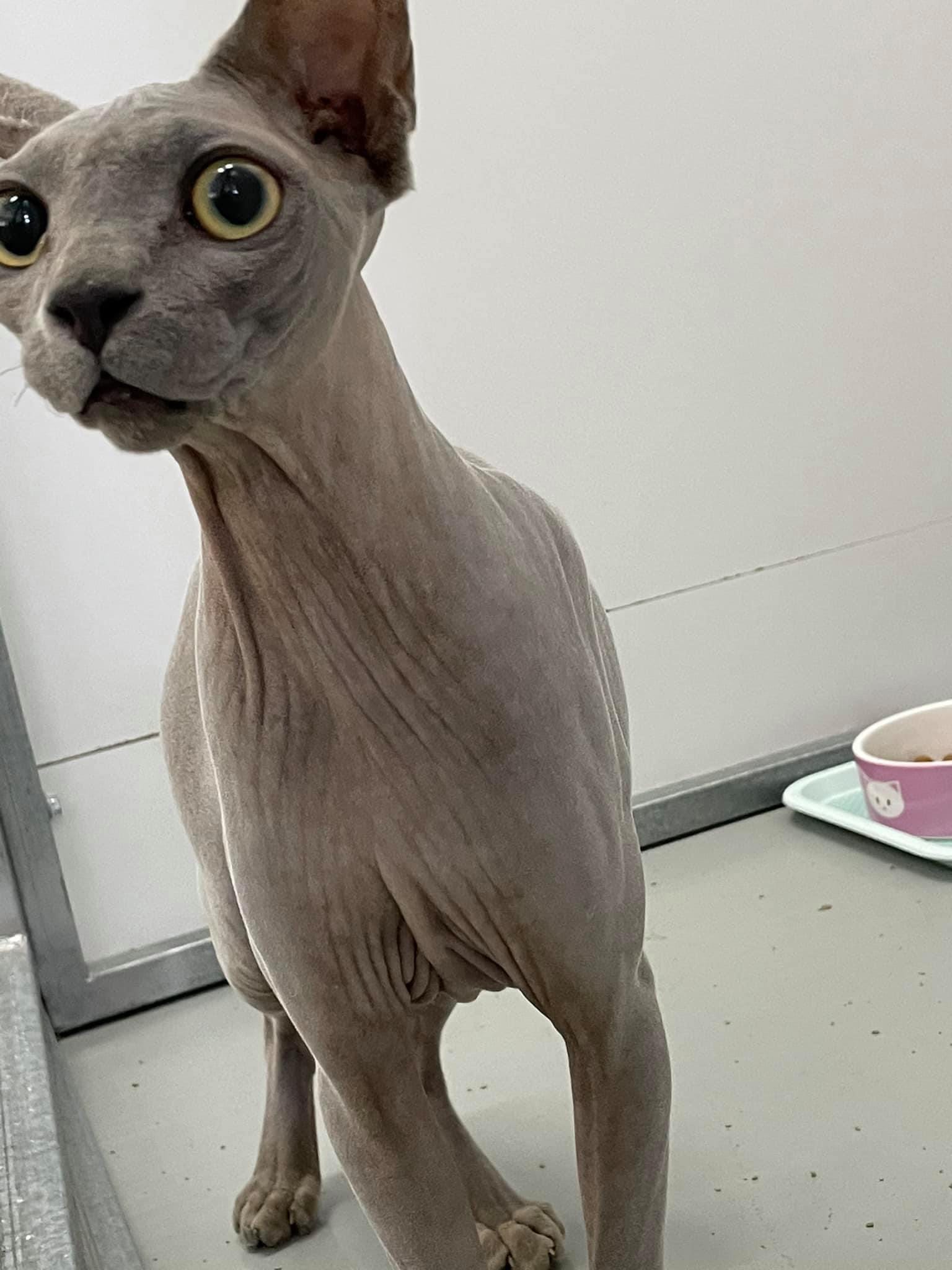 760E4DBC-D70F-41AB-BEA4-67F637DE4CF6