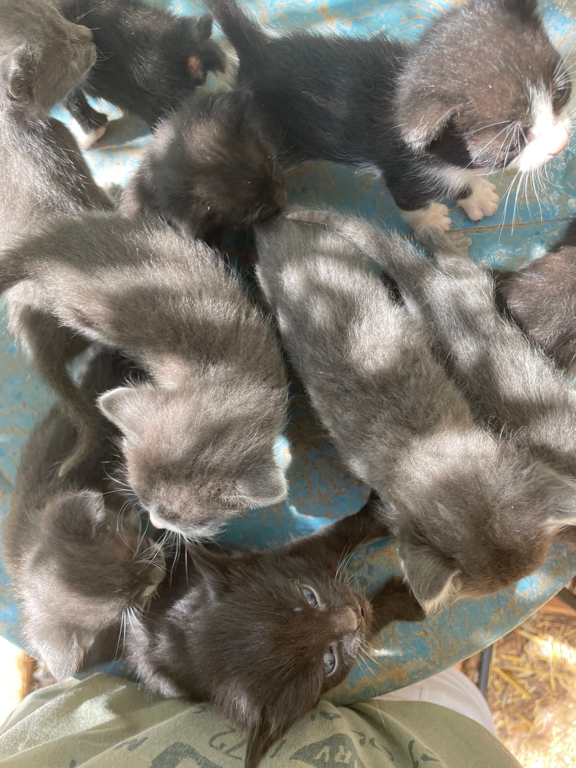 77F79647-32AF-4289-B874-30AE977536A5-scaled-1