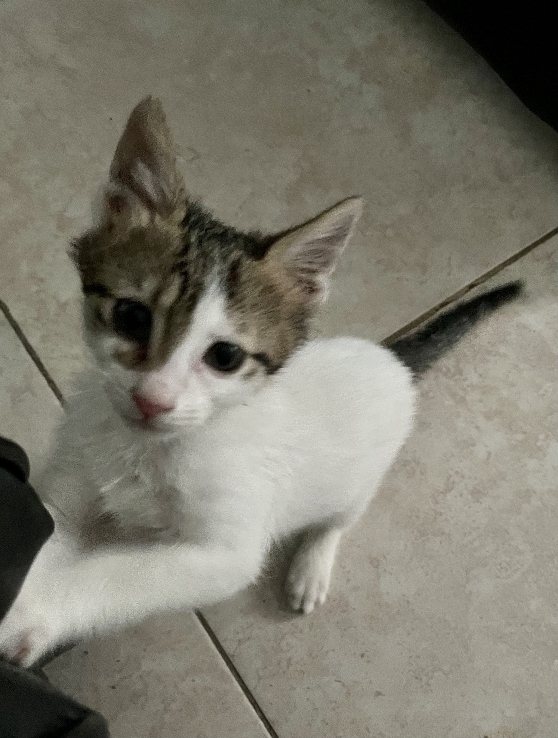 835E45B8-0D0F-4807-A351-757400E90A85