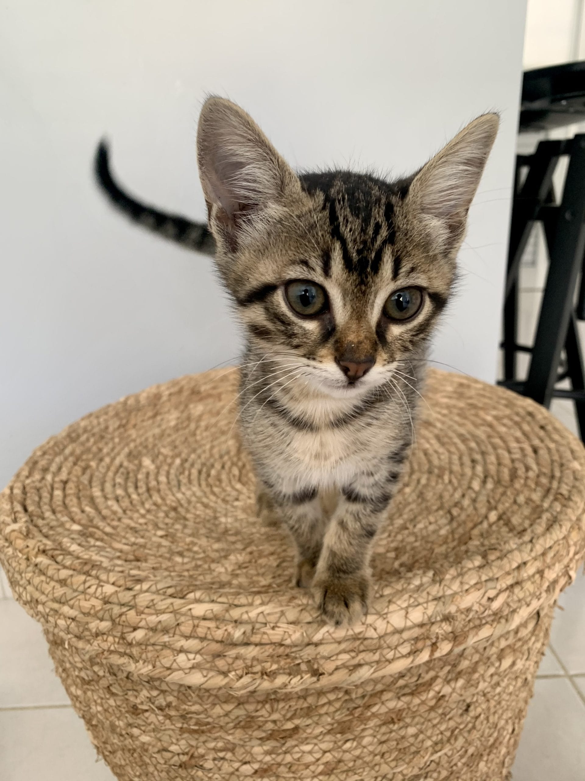 9E393048-8C7A-4CCD-A602-F5532157B2C1