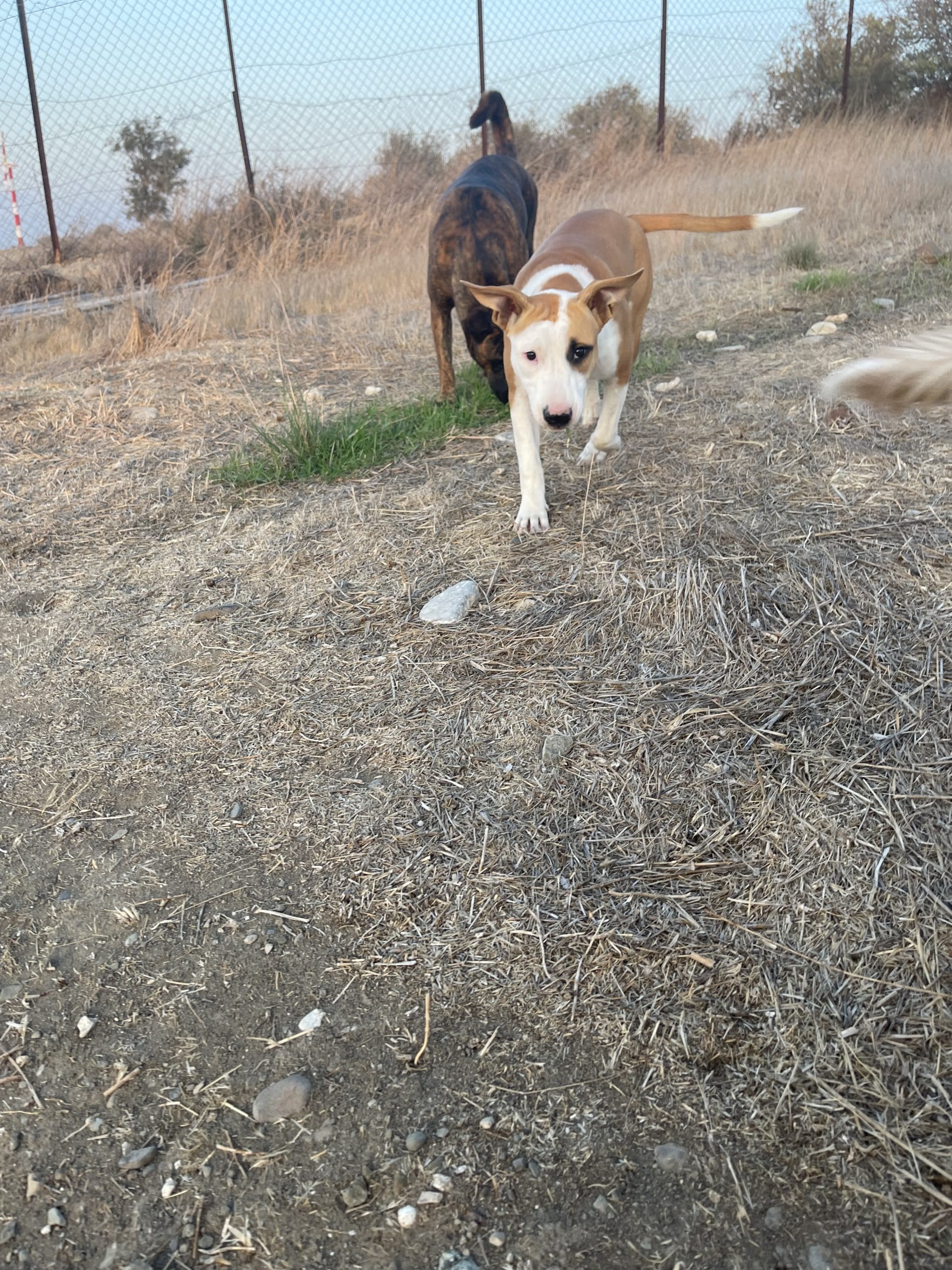 CD739374-680E-48A9-B4FF-9F3B8EE19822