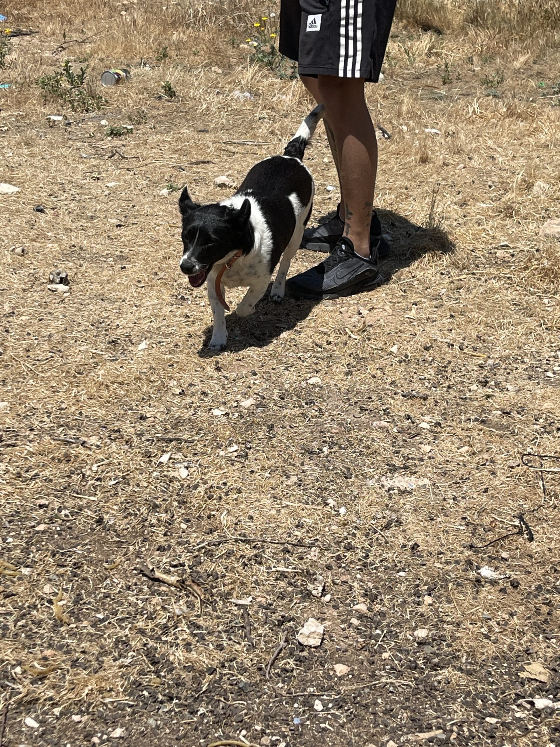 CF9057A6-5E21-4D02-B506-1B6FF81B500B