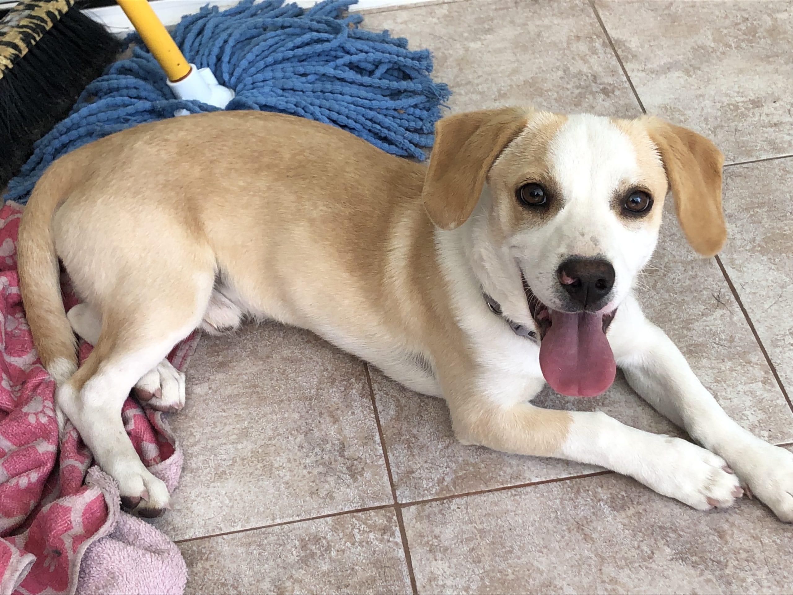 DE7CAE16-0834-41B3-8F93-514979C037E8