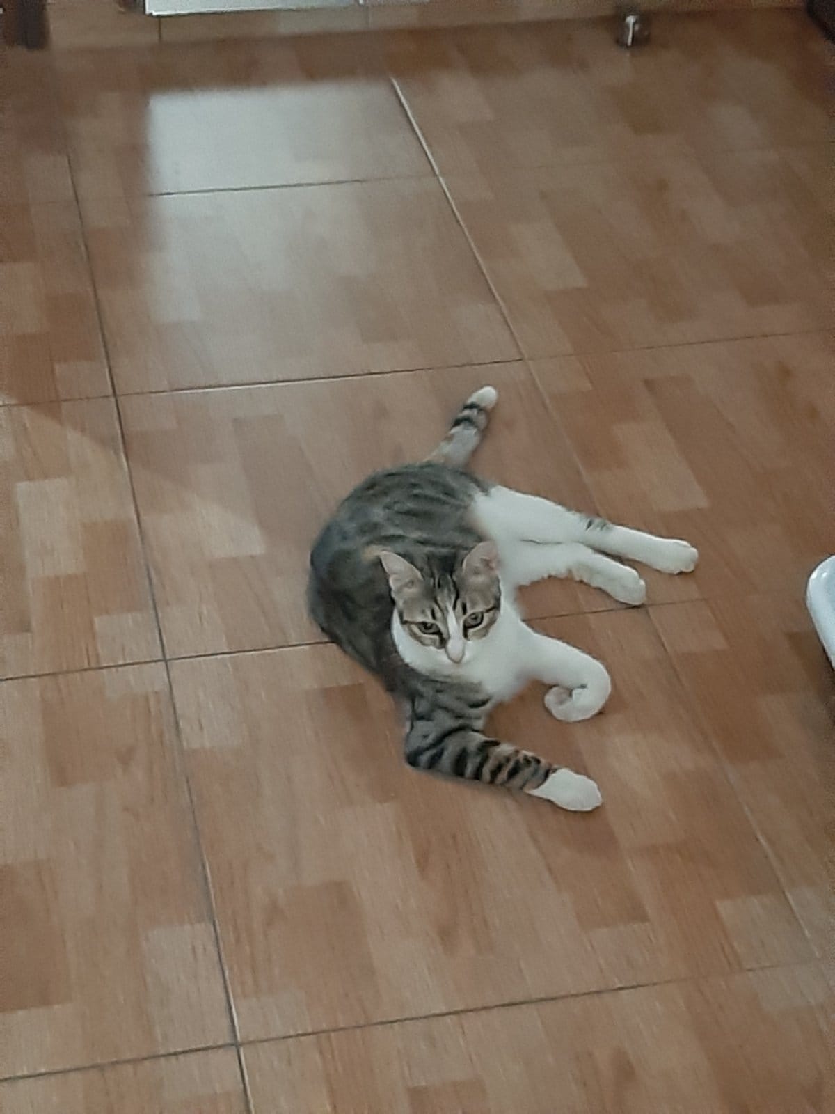 IMG-2bcfc19b26079faa575f72b9195585b3-V