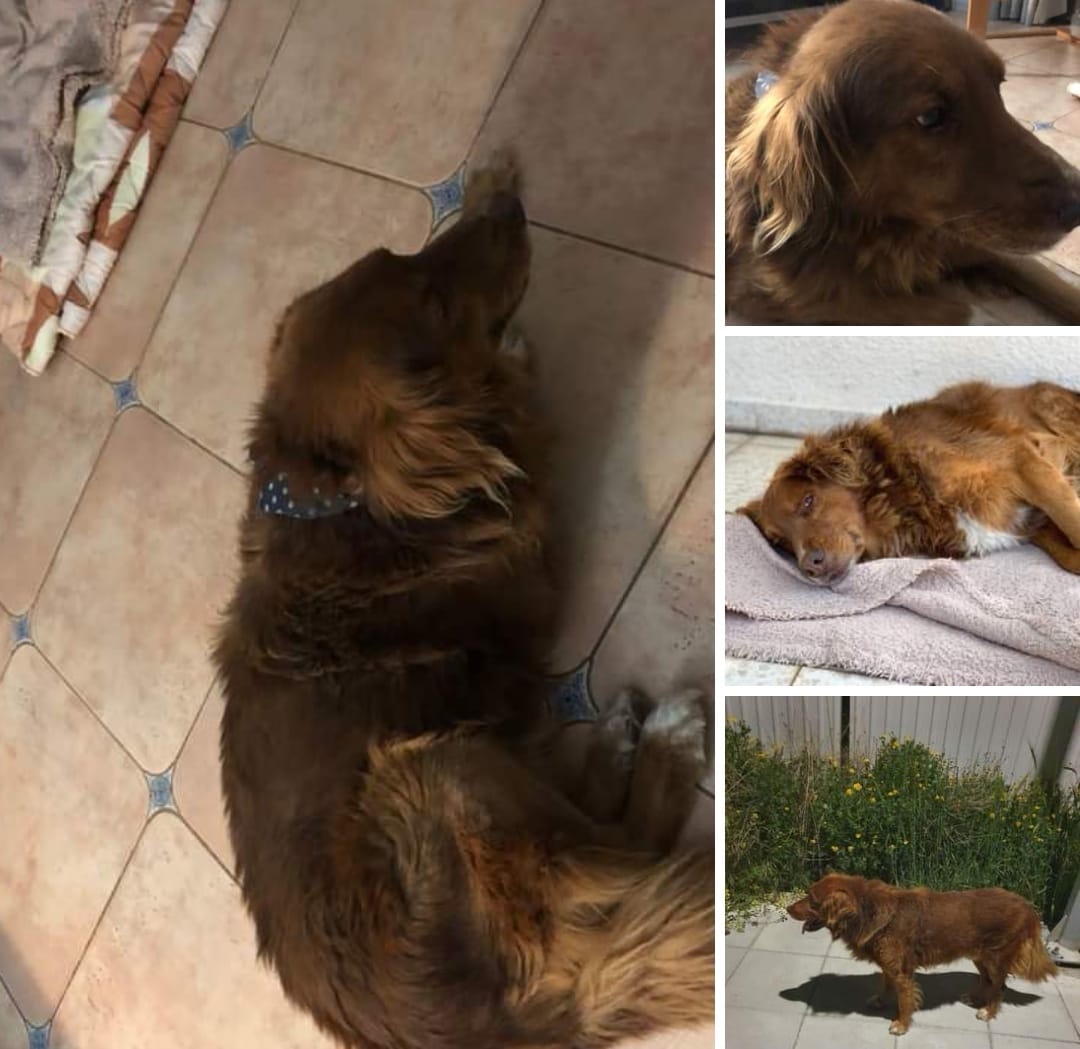 Screenshot_20220419_022853_com.facebook.katana_edit_620754713320904