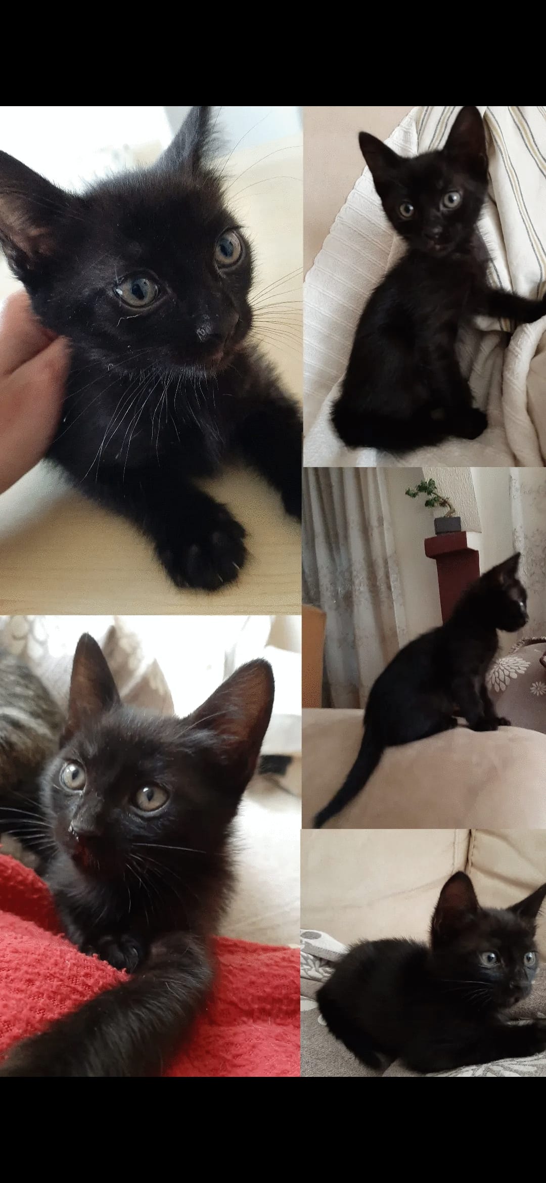 Screenshot_20220503-214418_Gallery