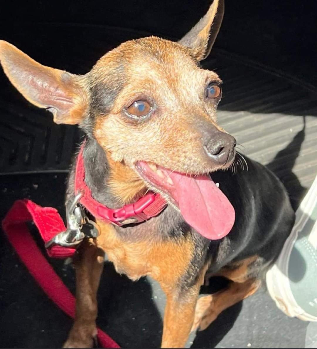 Screenshot_20220516_231108