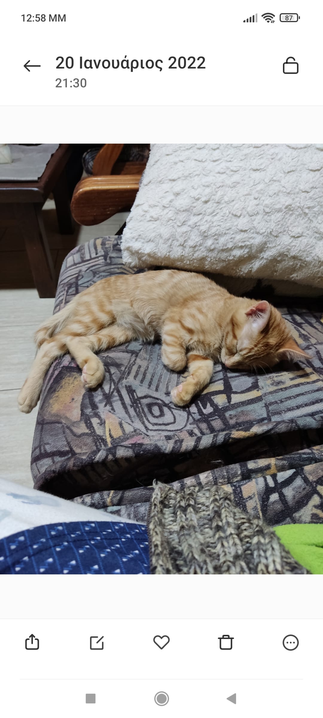 inbound4580161455769436411