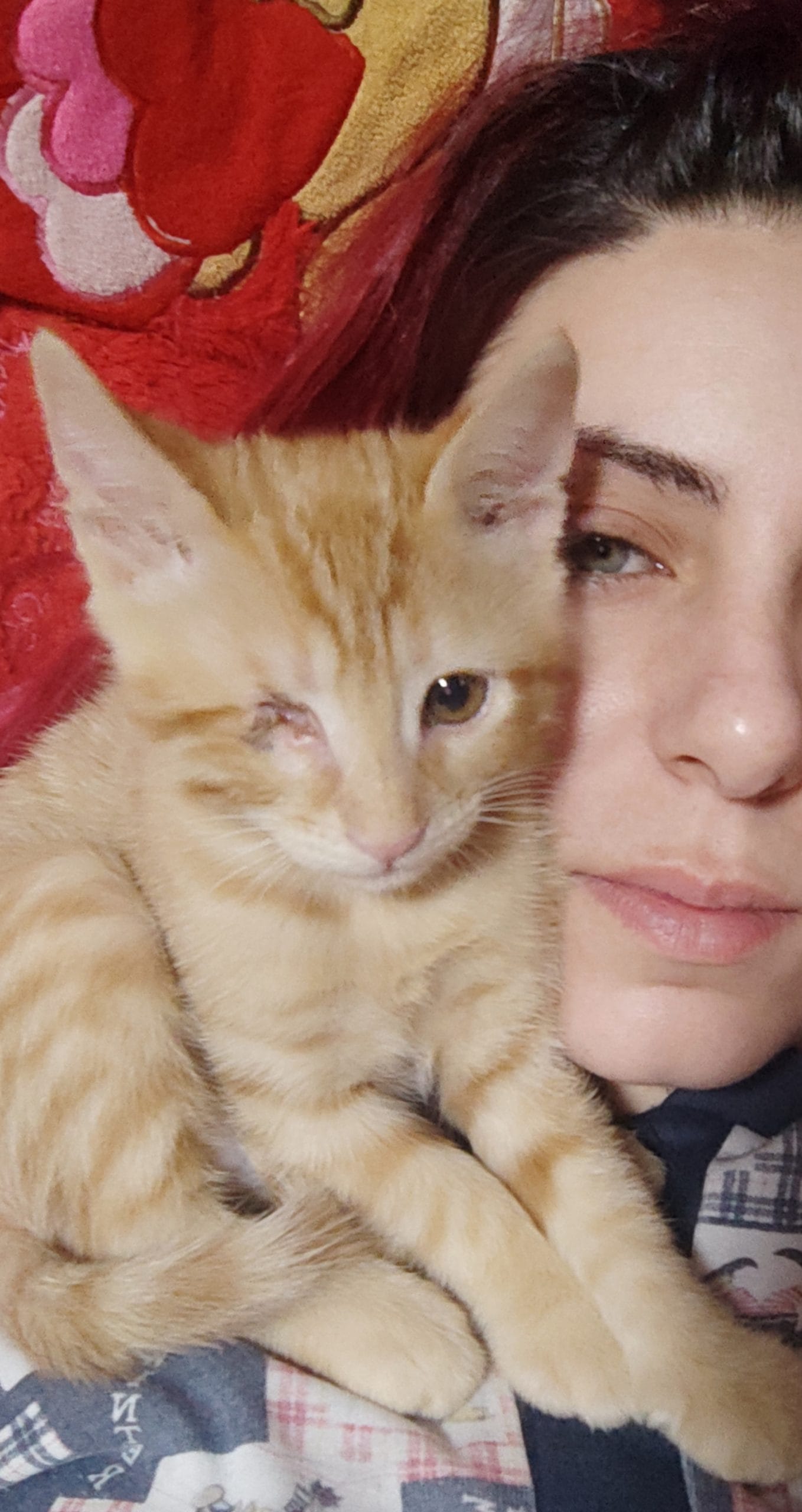 inbound7792084830365609909