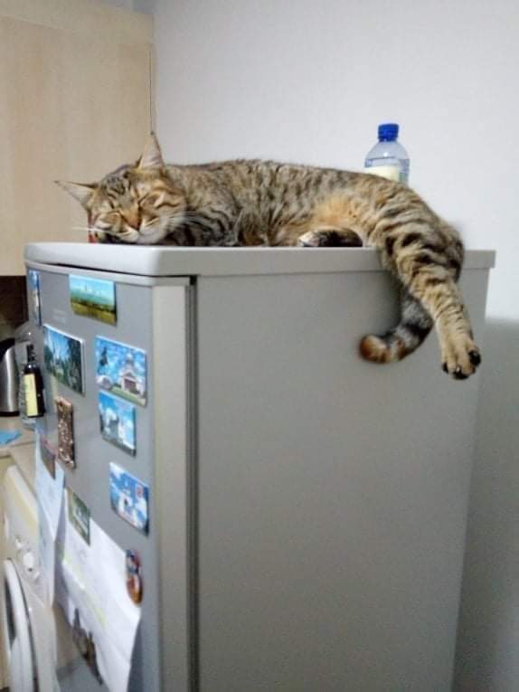 received_1064077384183048