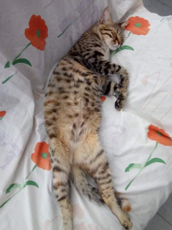 received_611127447102492