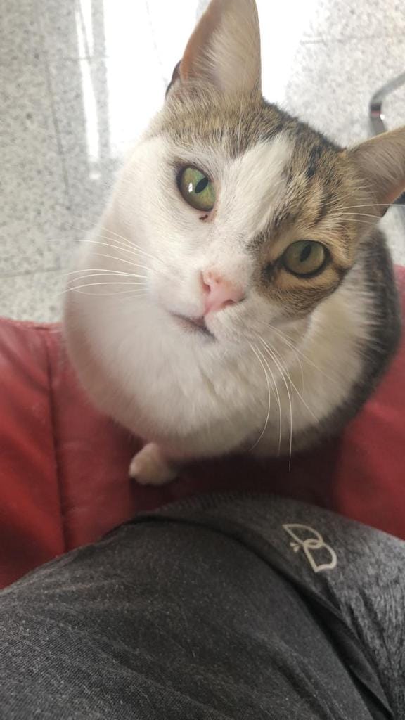 3CE52E5C-8AED-4E7D-9D15-80C1602F7574