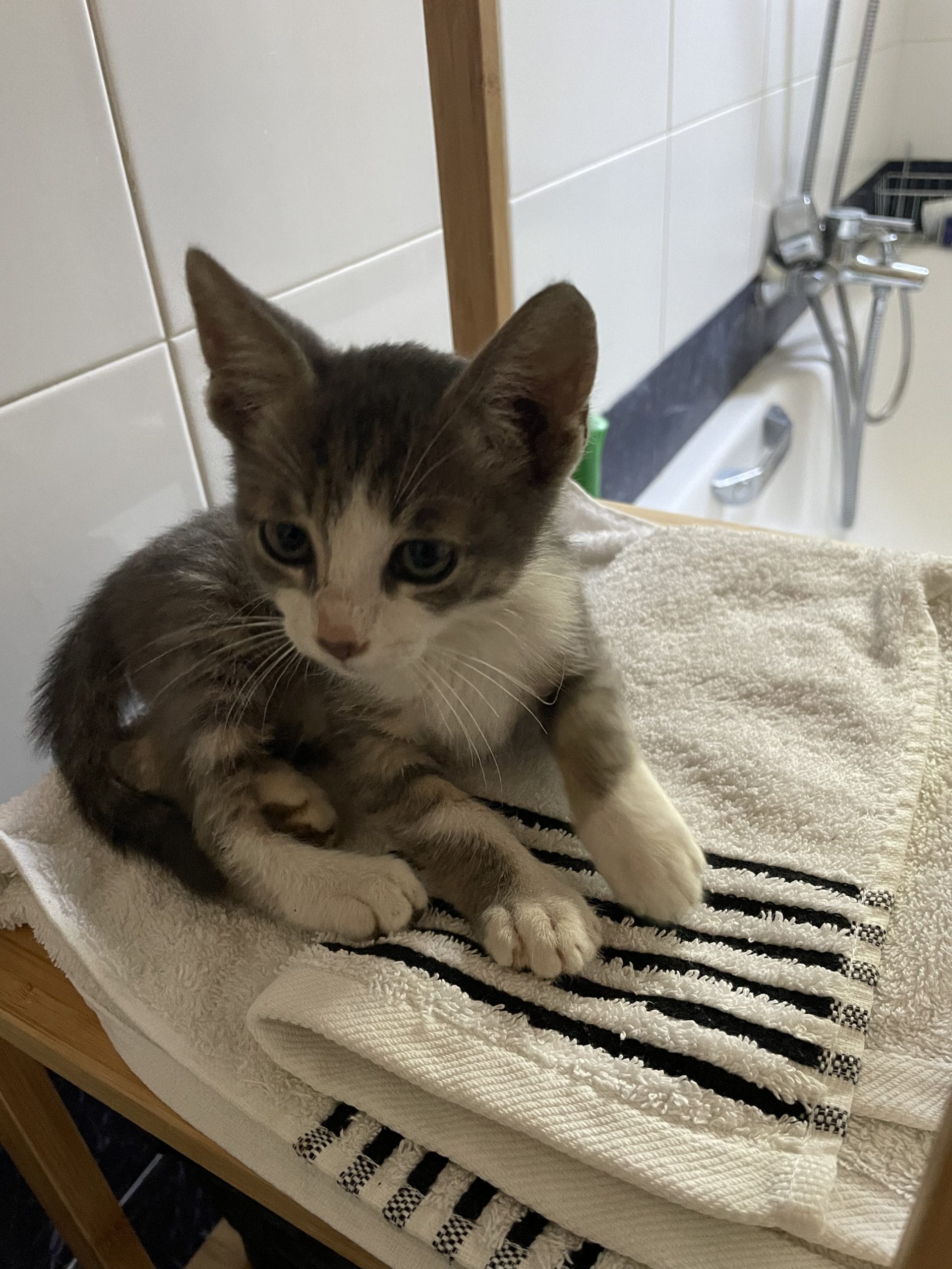 71111C40-BA6E-4DA0-A54C-5D72DDE2911F