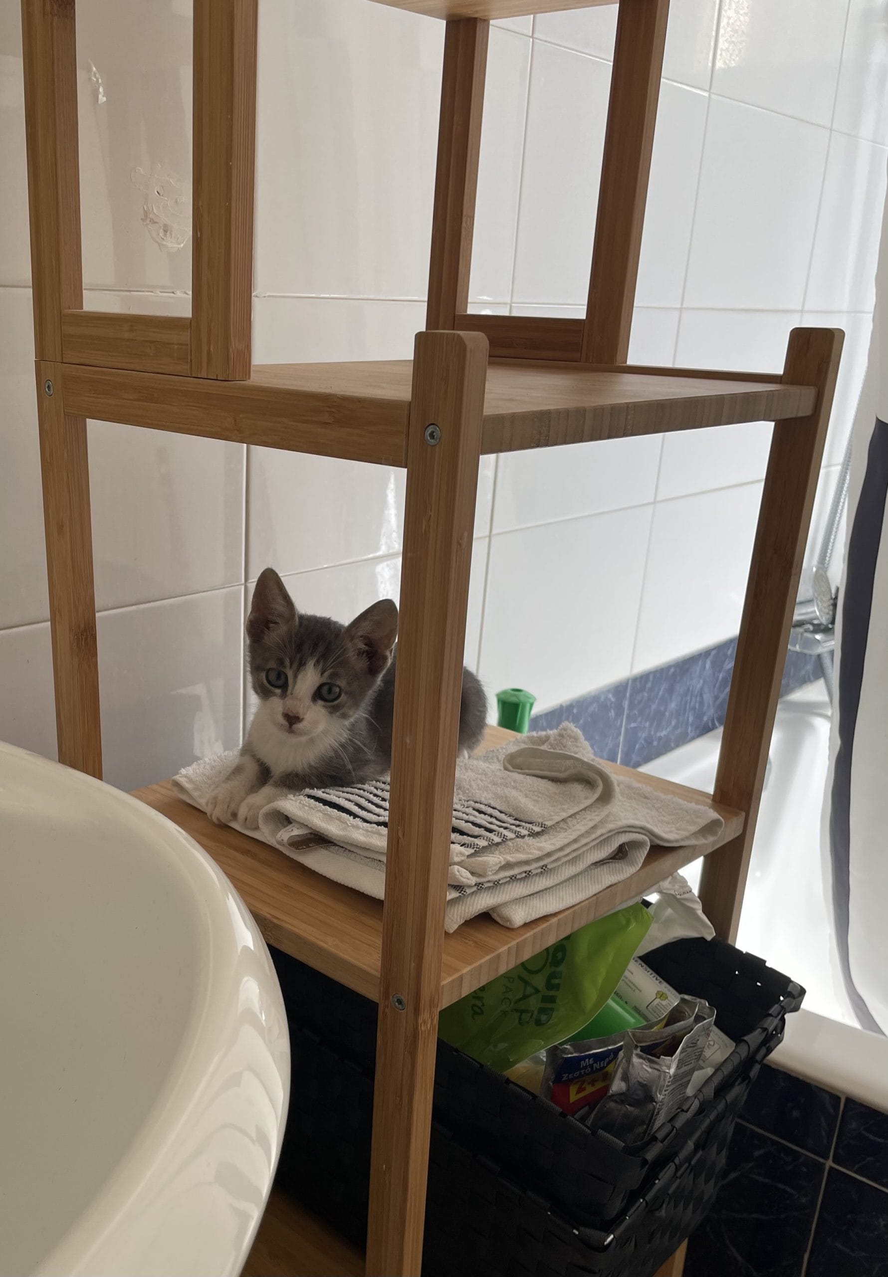 8EFB767C-BCC9-4648-B7DC-930407C62875