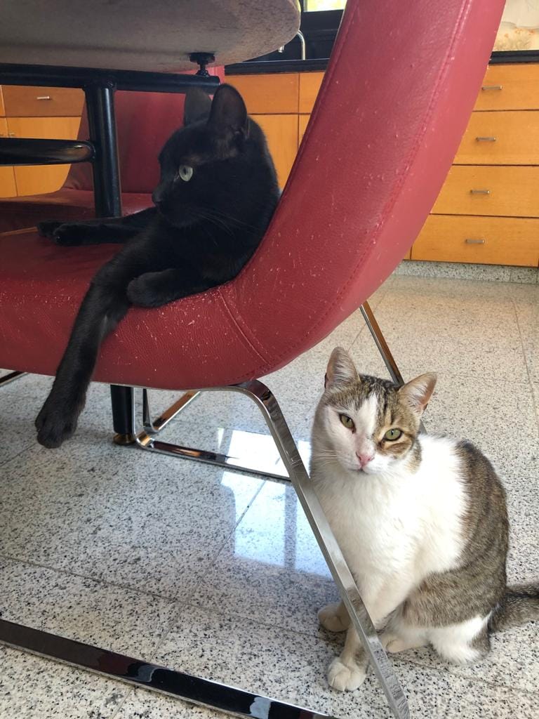 B9F3744B-D801-4739-B55C-C27777028F98