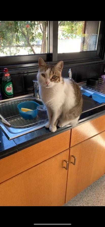 C38E13AD-2771-4B54-8DCB-E50B1FEC3F86