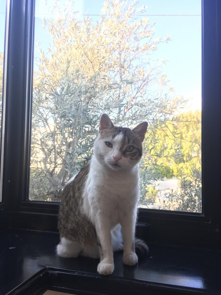 D82B288C-2254-46F5-B012-CE0535A22AB6