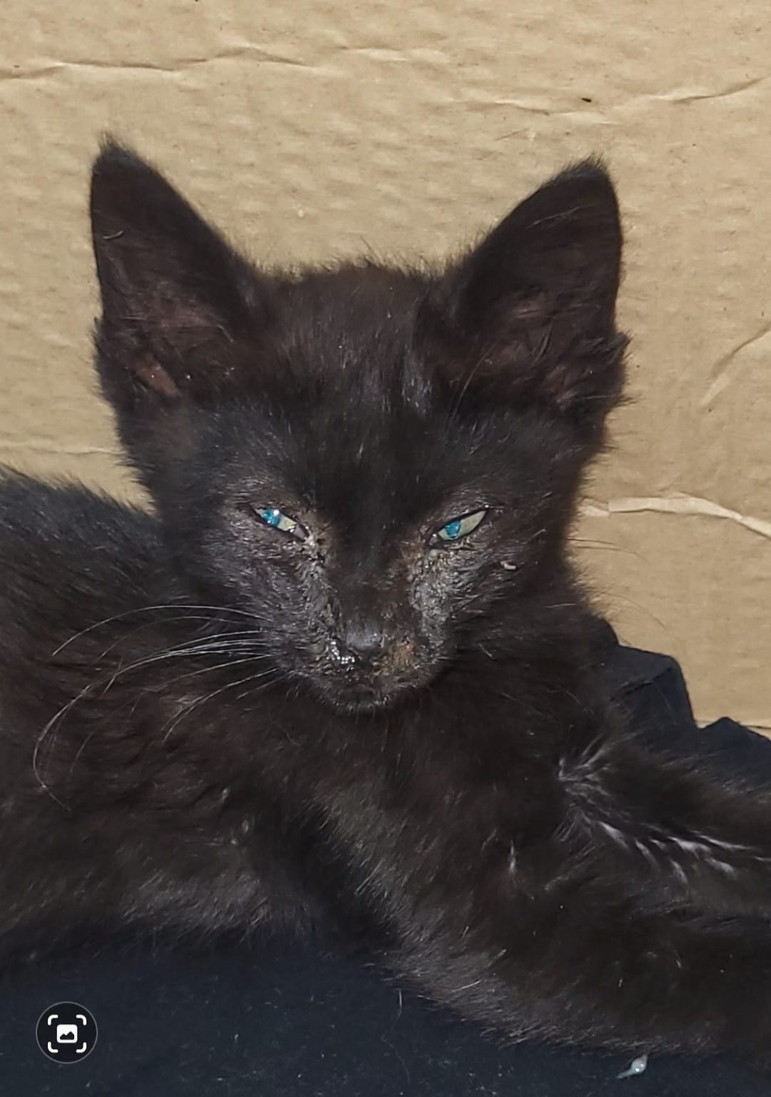 Screenshot_20220602-095435_Gallery