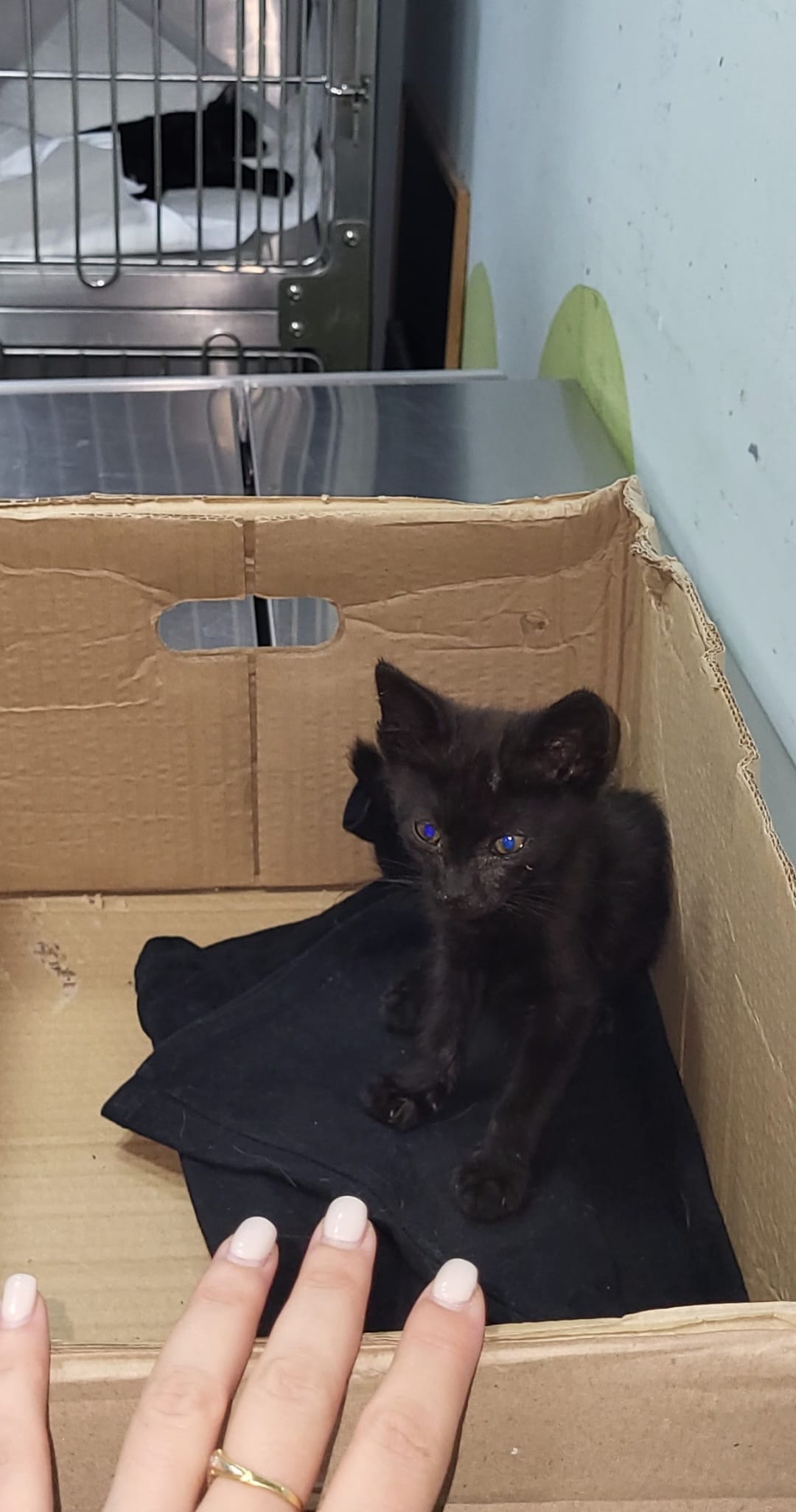 Screenshot_20220602-095456_Gallery