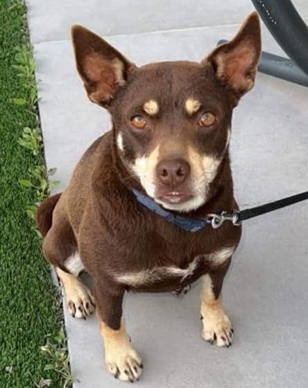 inbound6154403948951904472