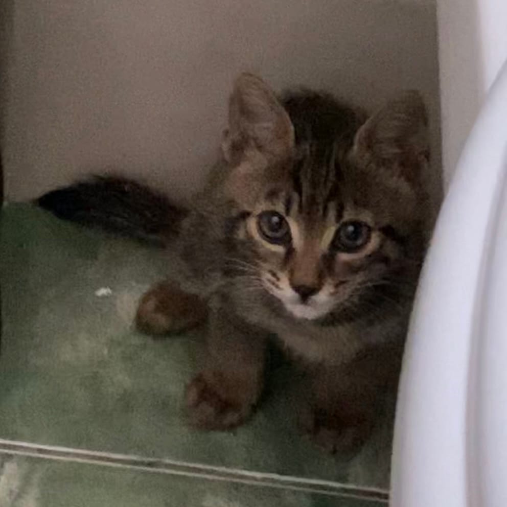 12AB7986-350B-4A88-8EEE-DC5A230713BD