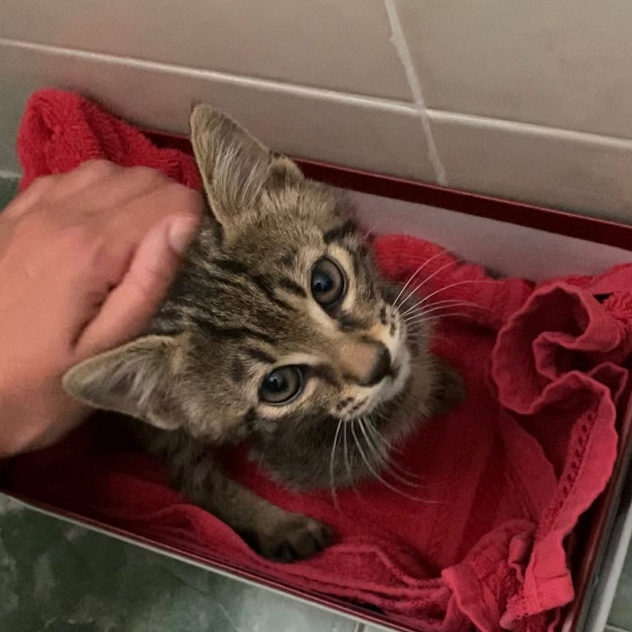 1F55BCC4-4664-445B-A97A-194C350A4A66