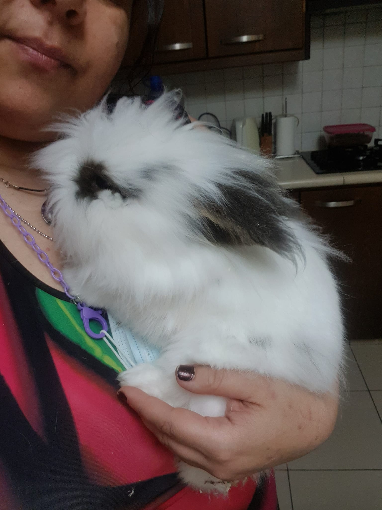 280361763_2234867773356877_2446423748775097592_n