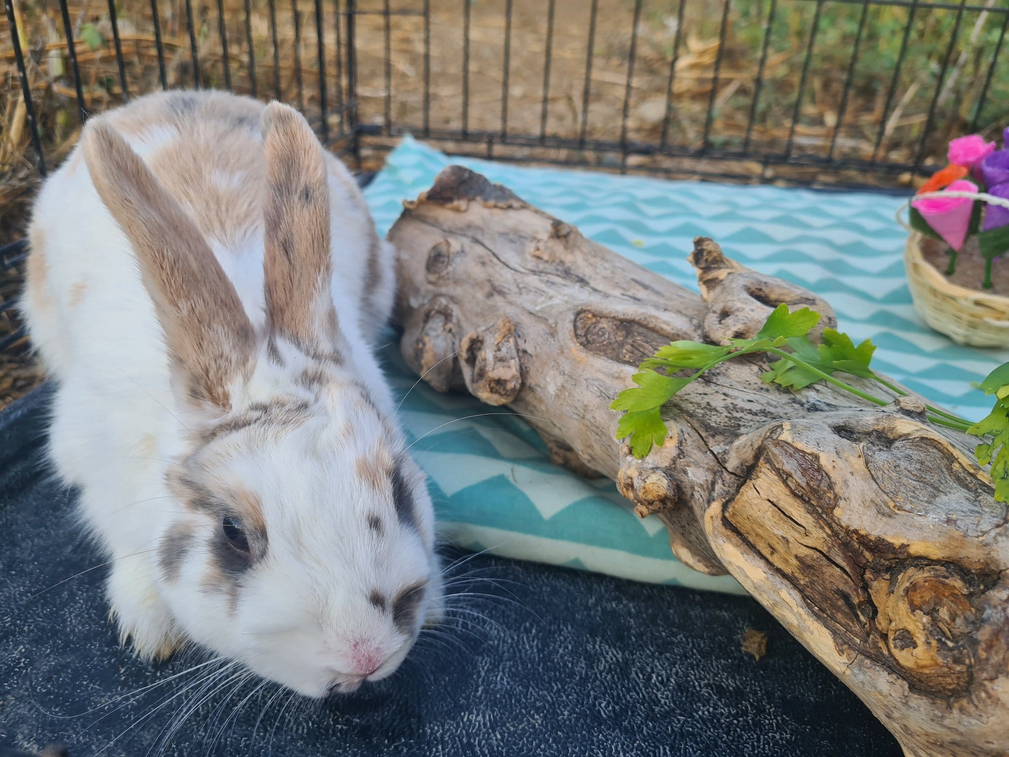 291091504_10160424466825739_8609832794696717465_n