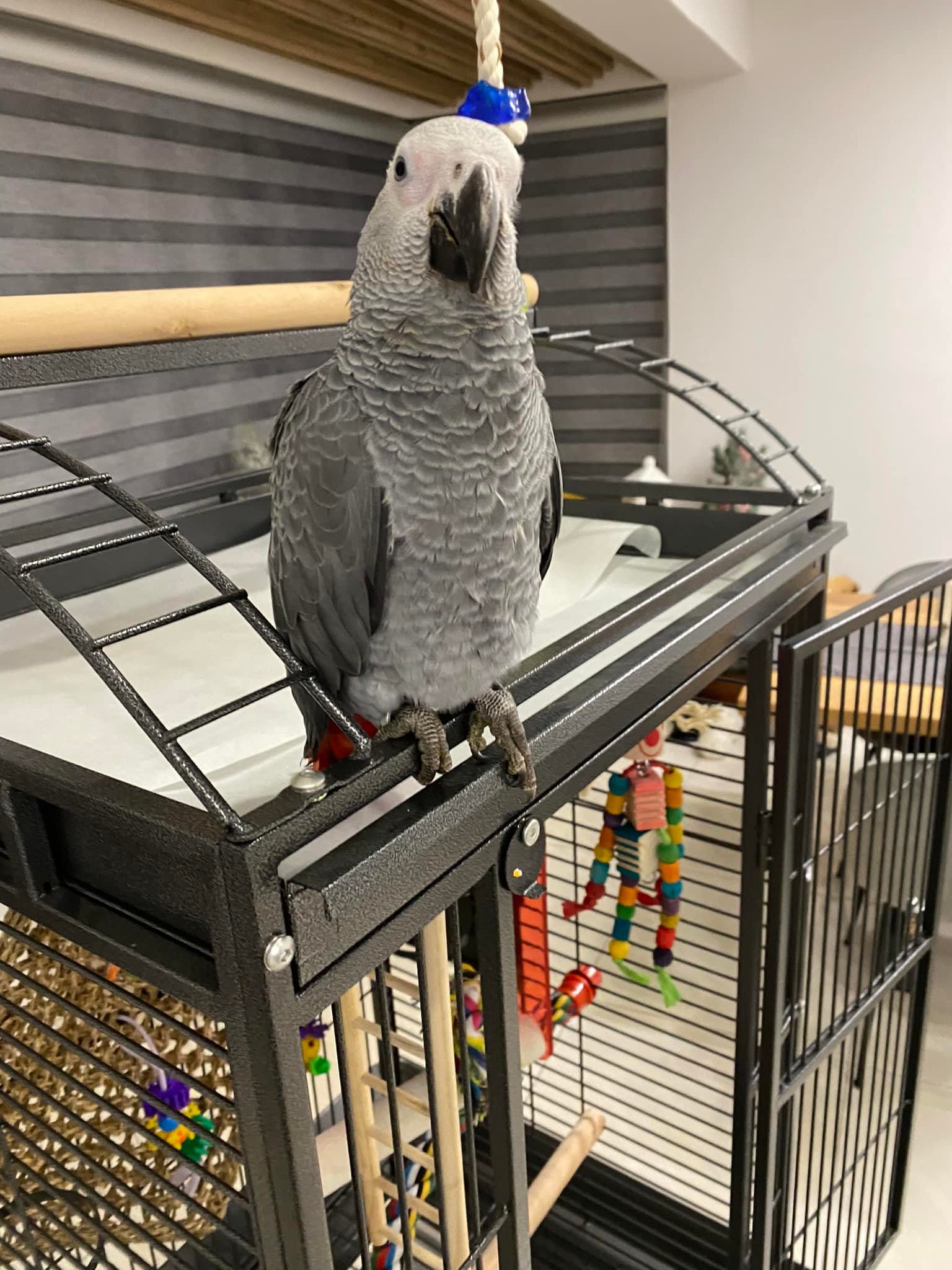 293953504_5946081198754308_9208819951738102367_n