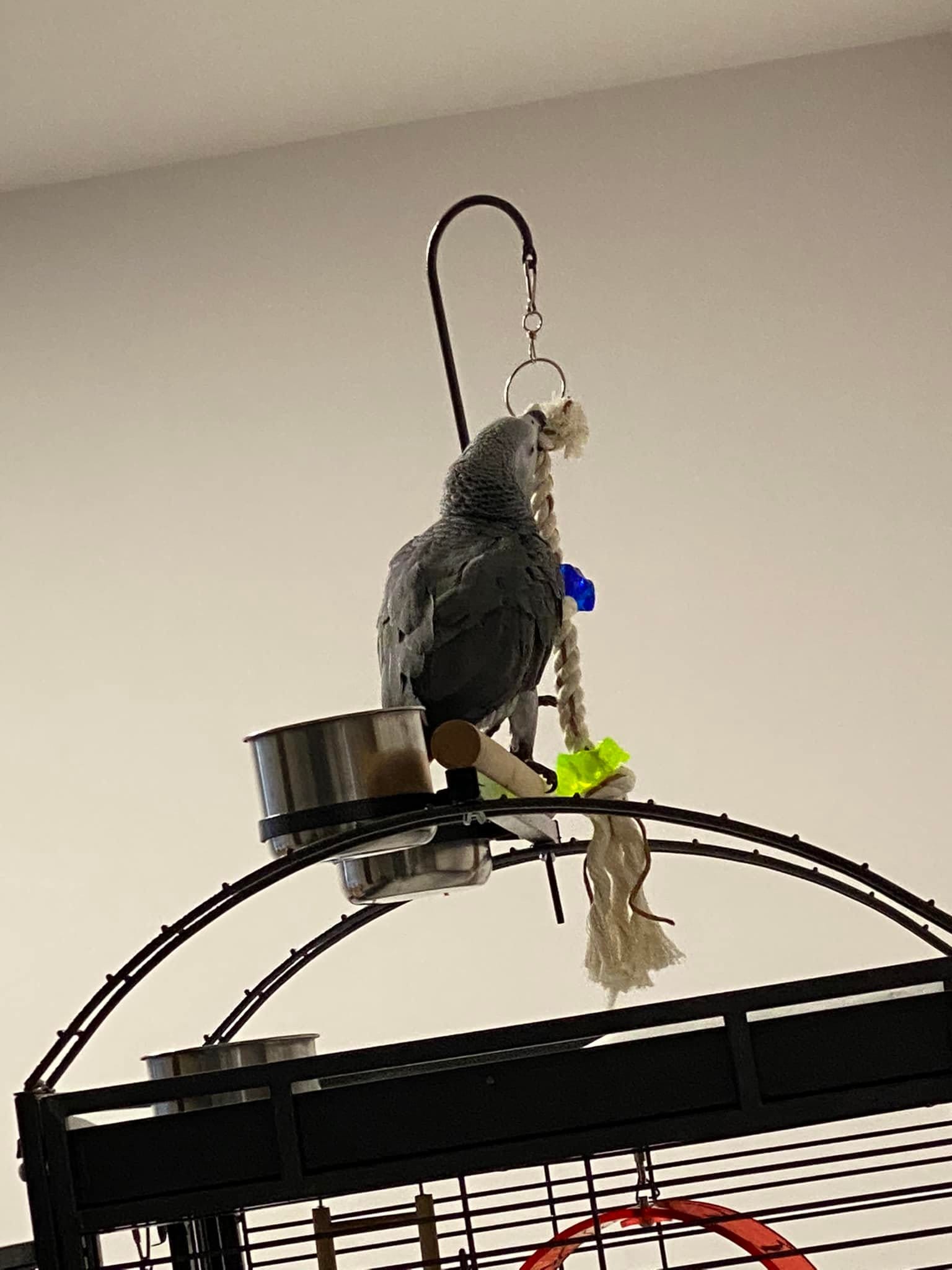 294105135_5946081032087658_6986385503184397038_n