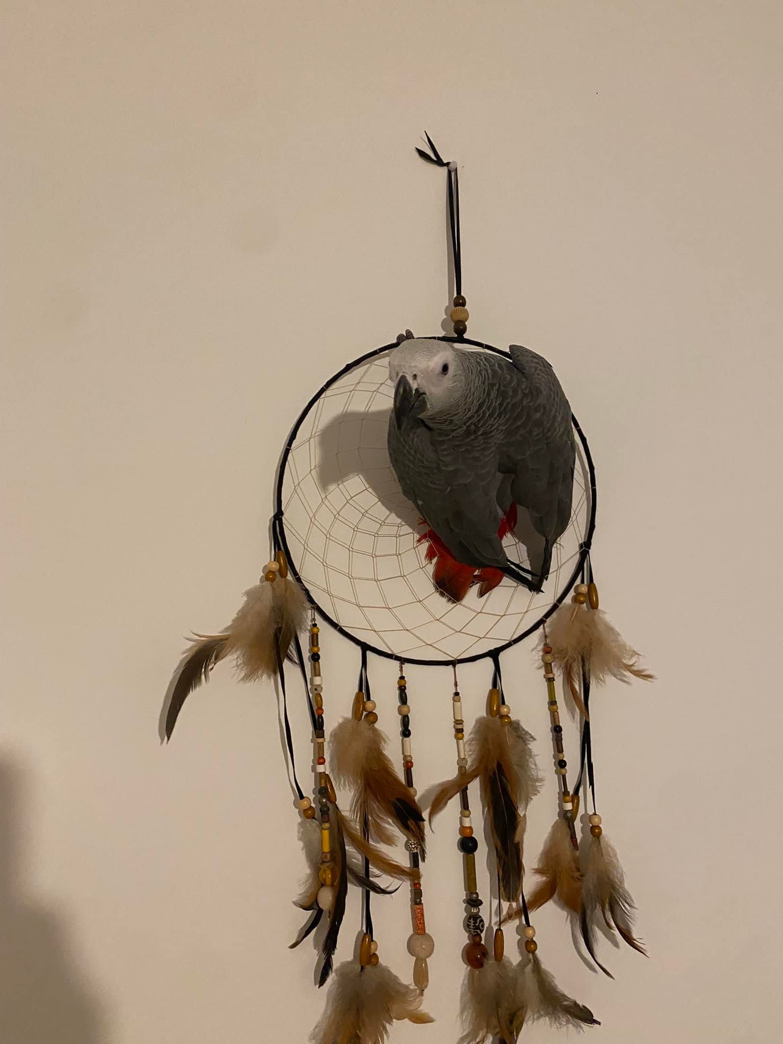 294652589_5946080918754336_4401811964245887354_n