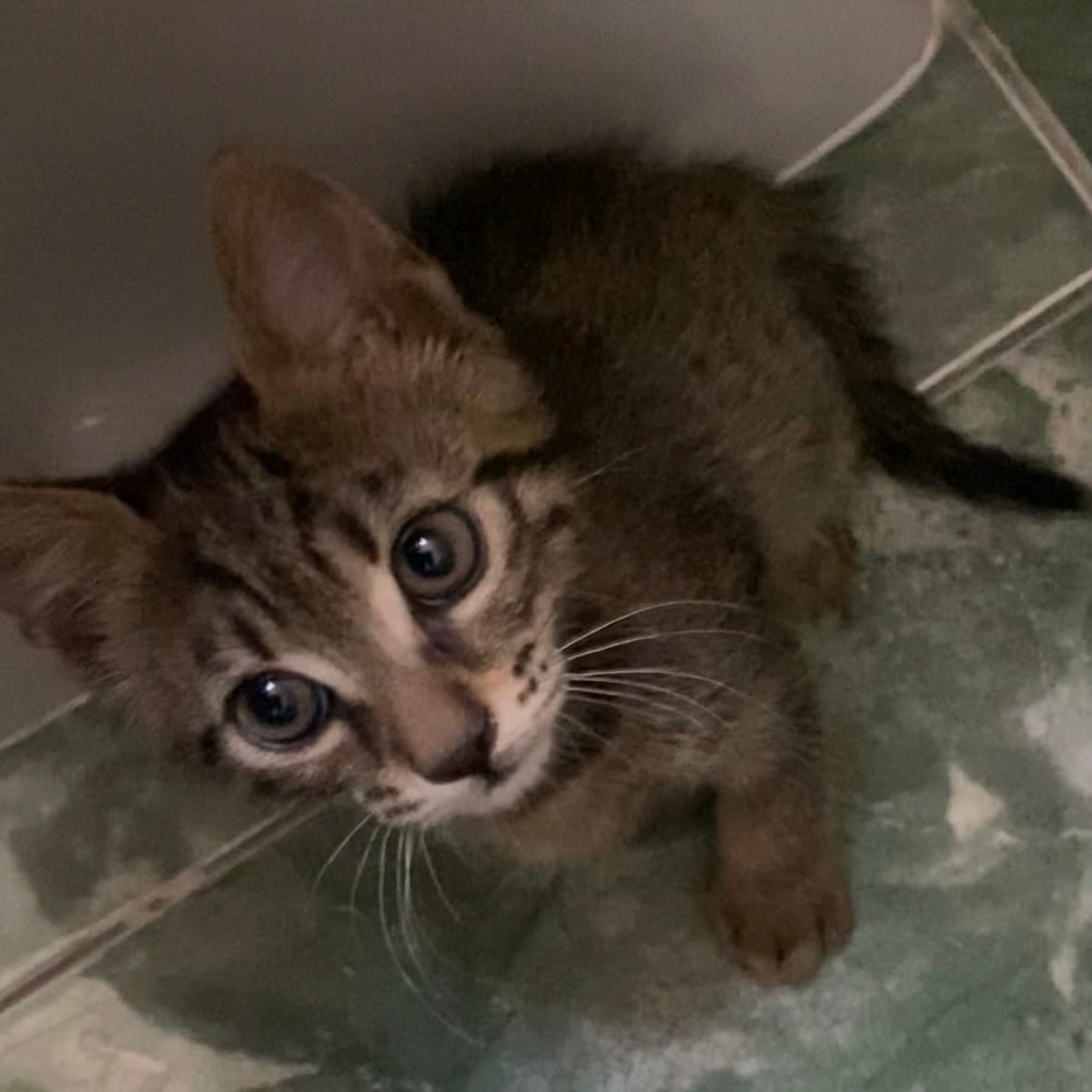 7E398777-0864-4A8B-B601-B67CDE30B412