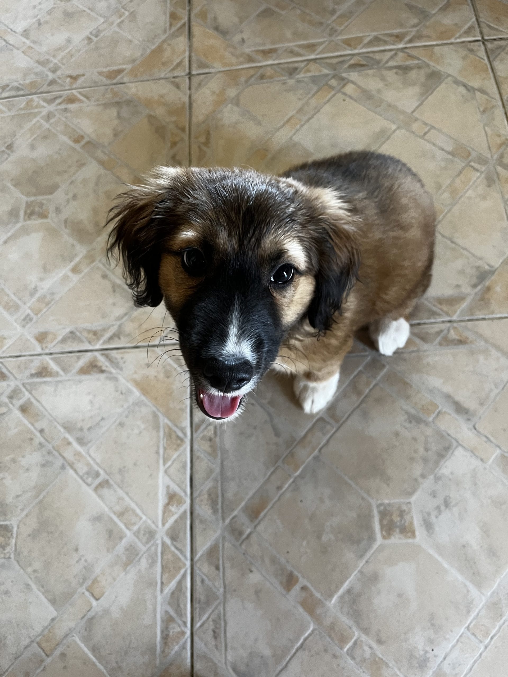 88E38F9C-045B-46A2-9B40-FE9C2CA65366