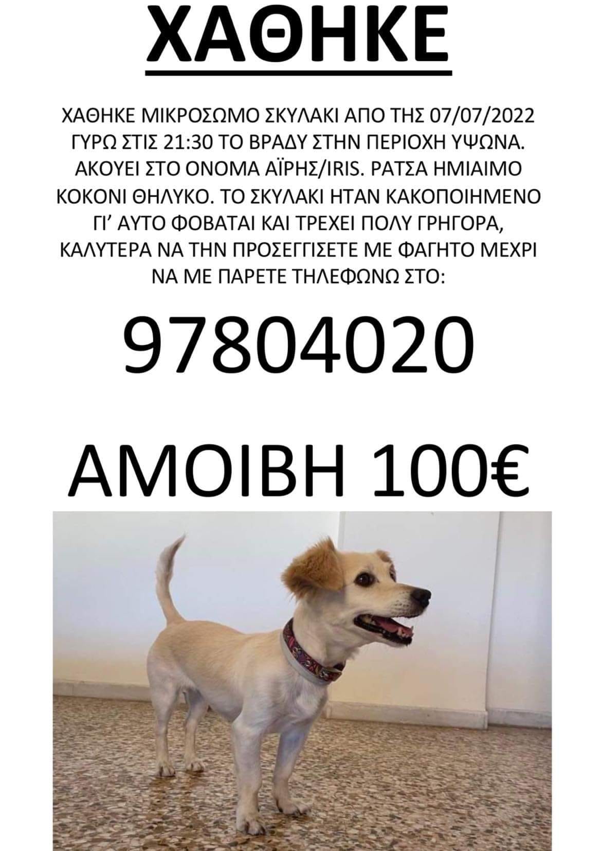 B0E9696D-CBC6-449B-B3F5-AD68B40C439E