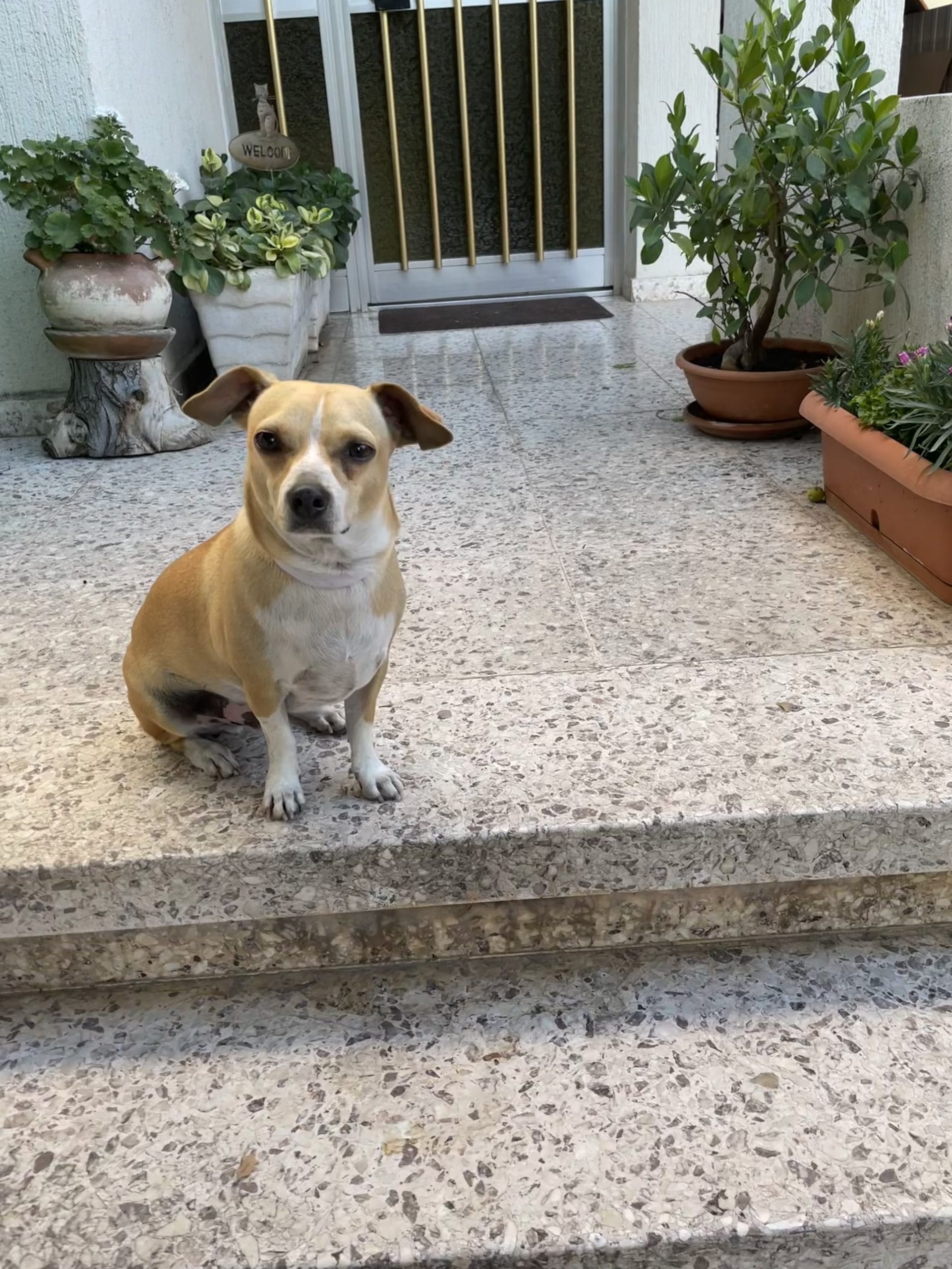 BBD7D59C-4DB6-47C8-9291-724DF55375D8