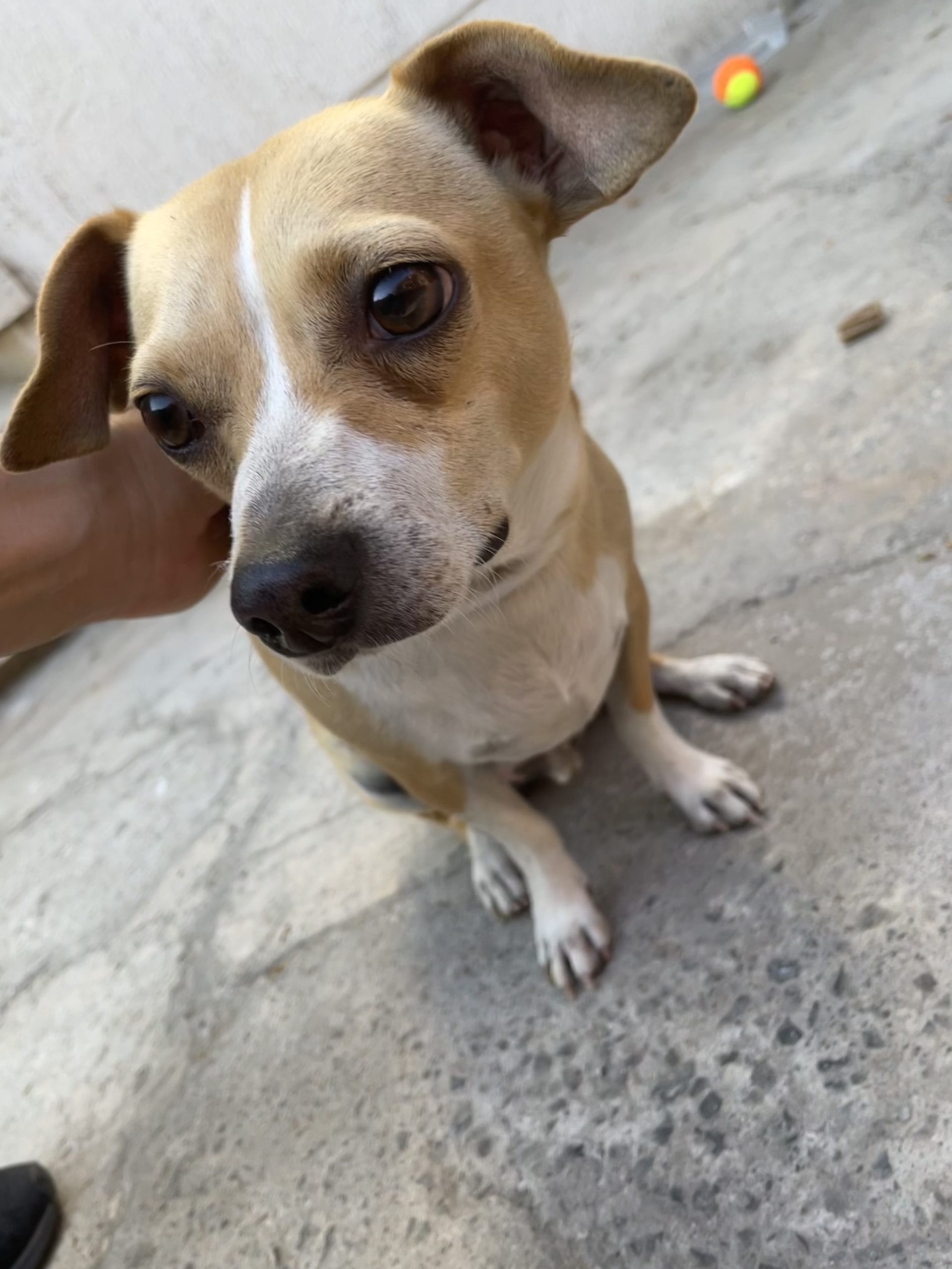 BCCA7A40-7EF7-479A-AA9D-EA7D0C014C30