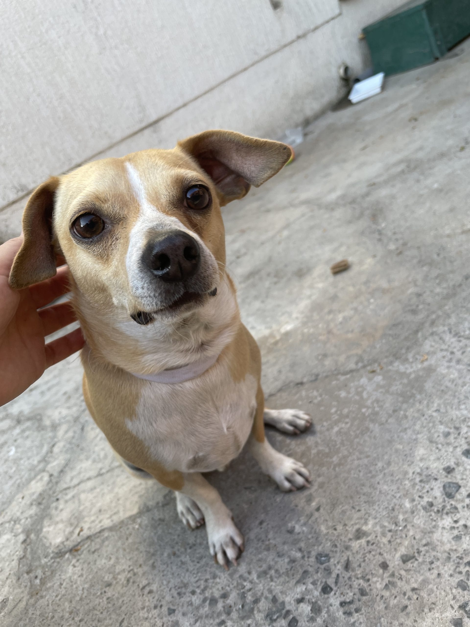 C45E16D7-2D10-4E0B-B68C-D1D9EE21F881