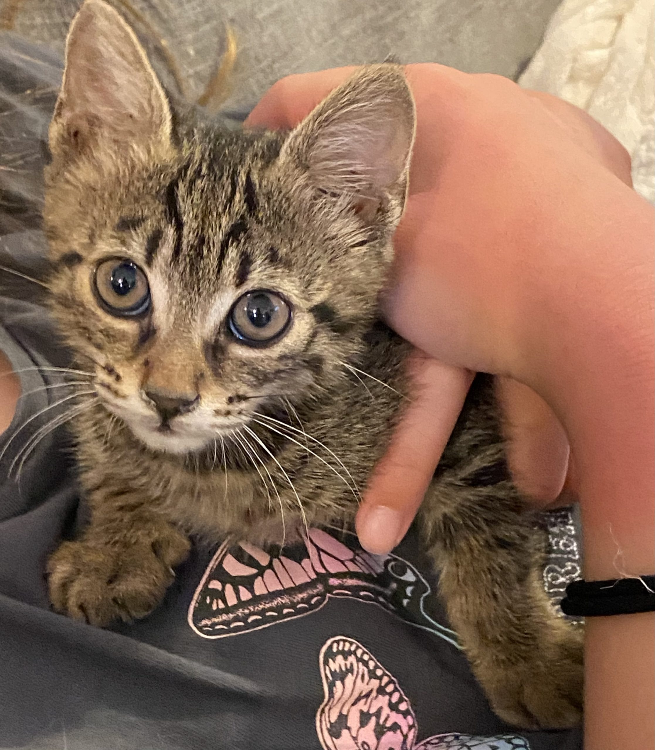 D5438222-E264-485C-878C-0FB193DA26E1