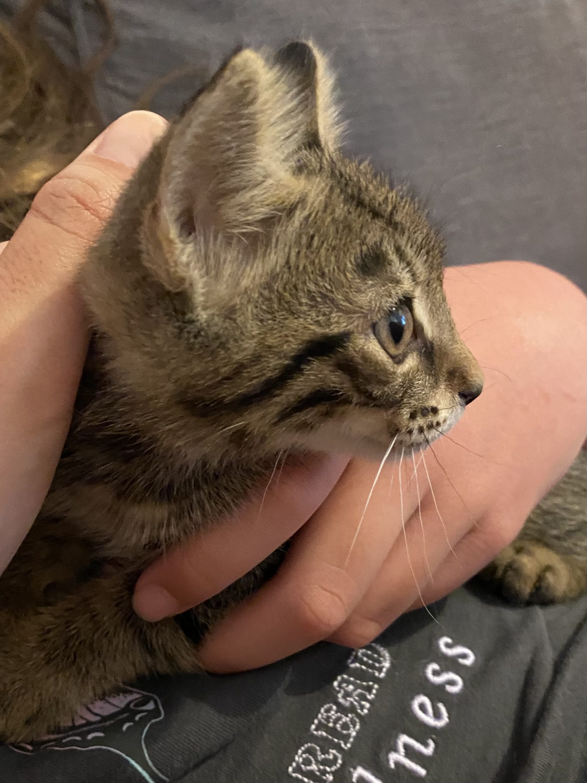 E3FC2586-091C-4F31-8147-FC9B8EB198D2