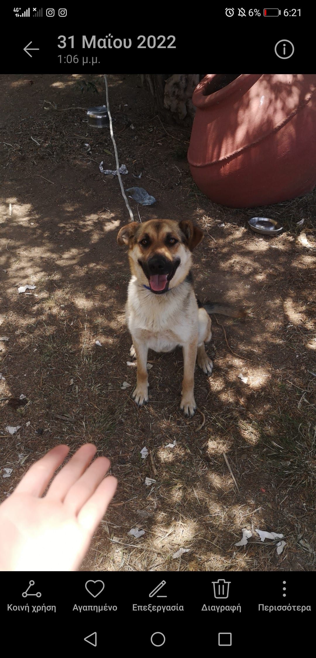 Screenshot_20220726_182143_com.android.gallery3d