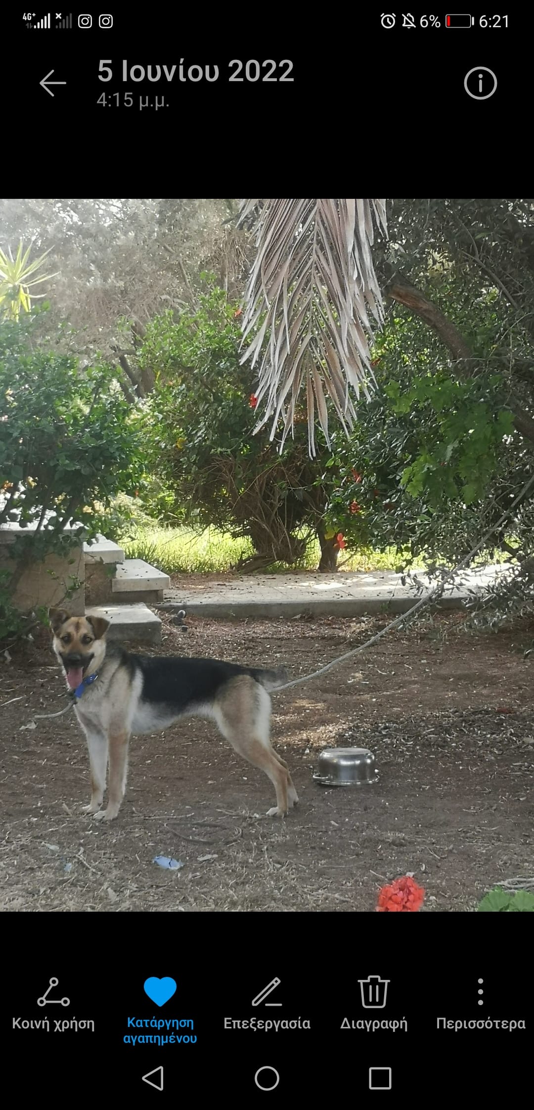 Screenshot_20220726_182159_com.android.gallery3d