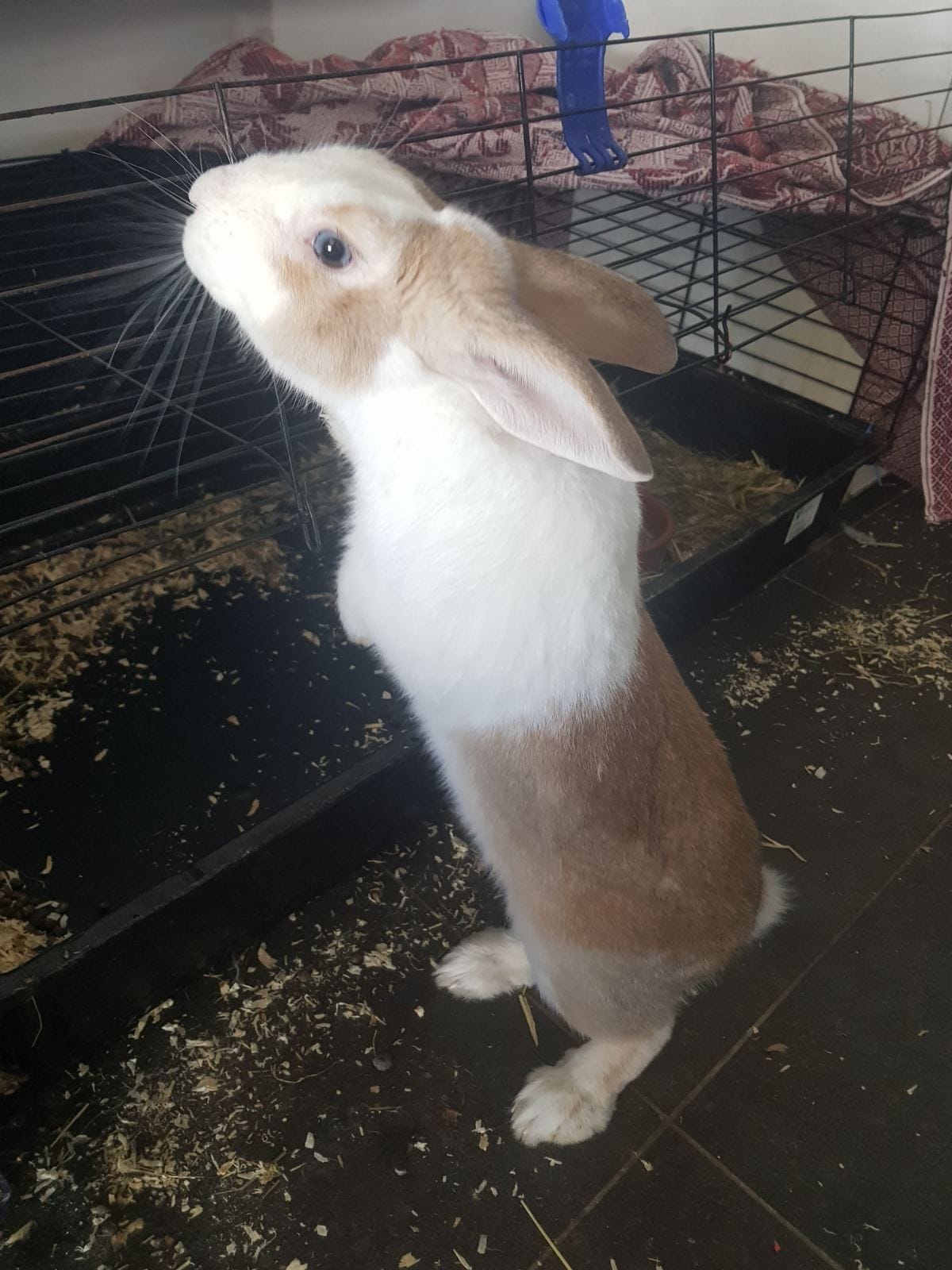 viber_image_2022-07-11_14-25-20-618