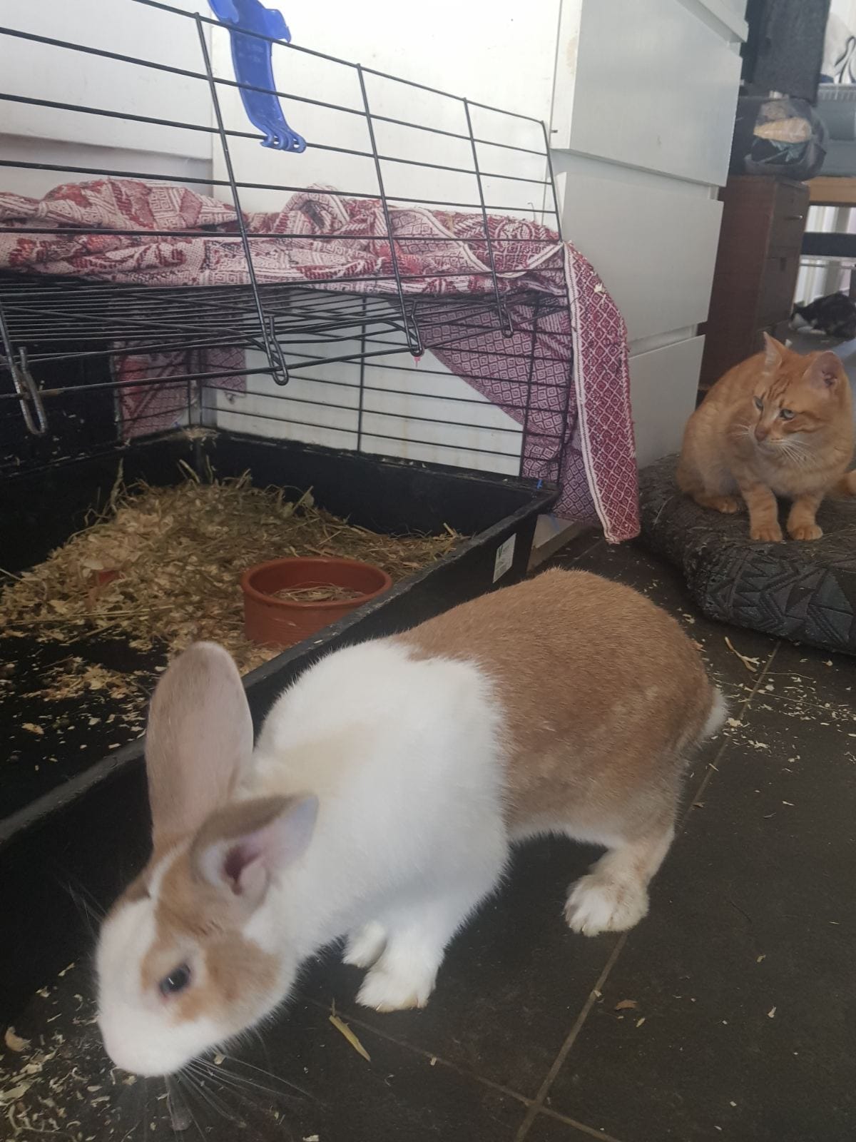 viber_image_2022-07-11_14-25-20-661