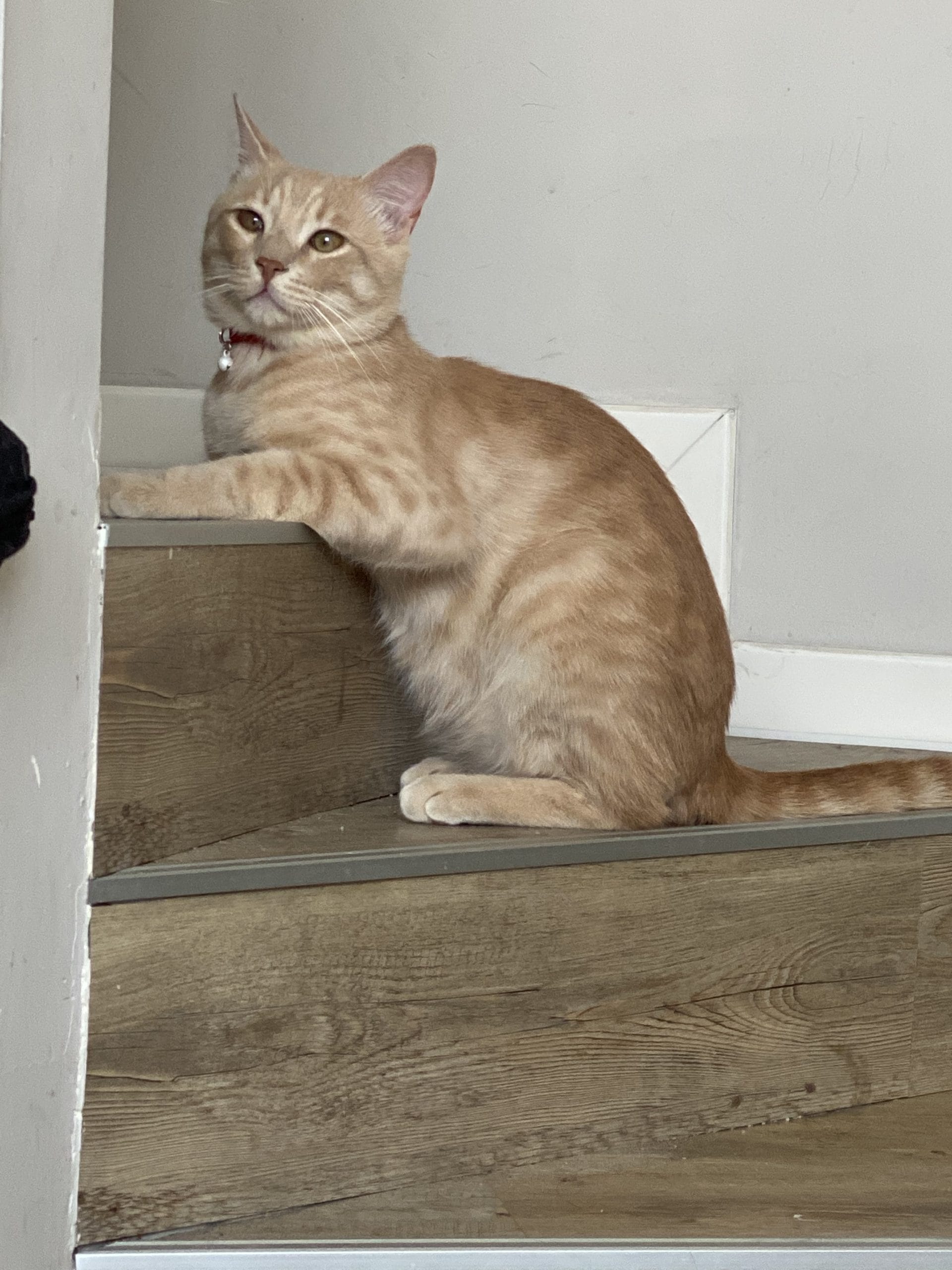 0E14E15A-B48D-4FCF-97CE-37C12EB46C27