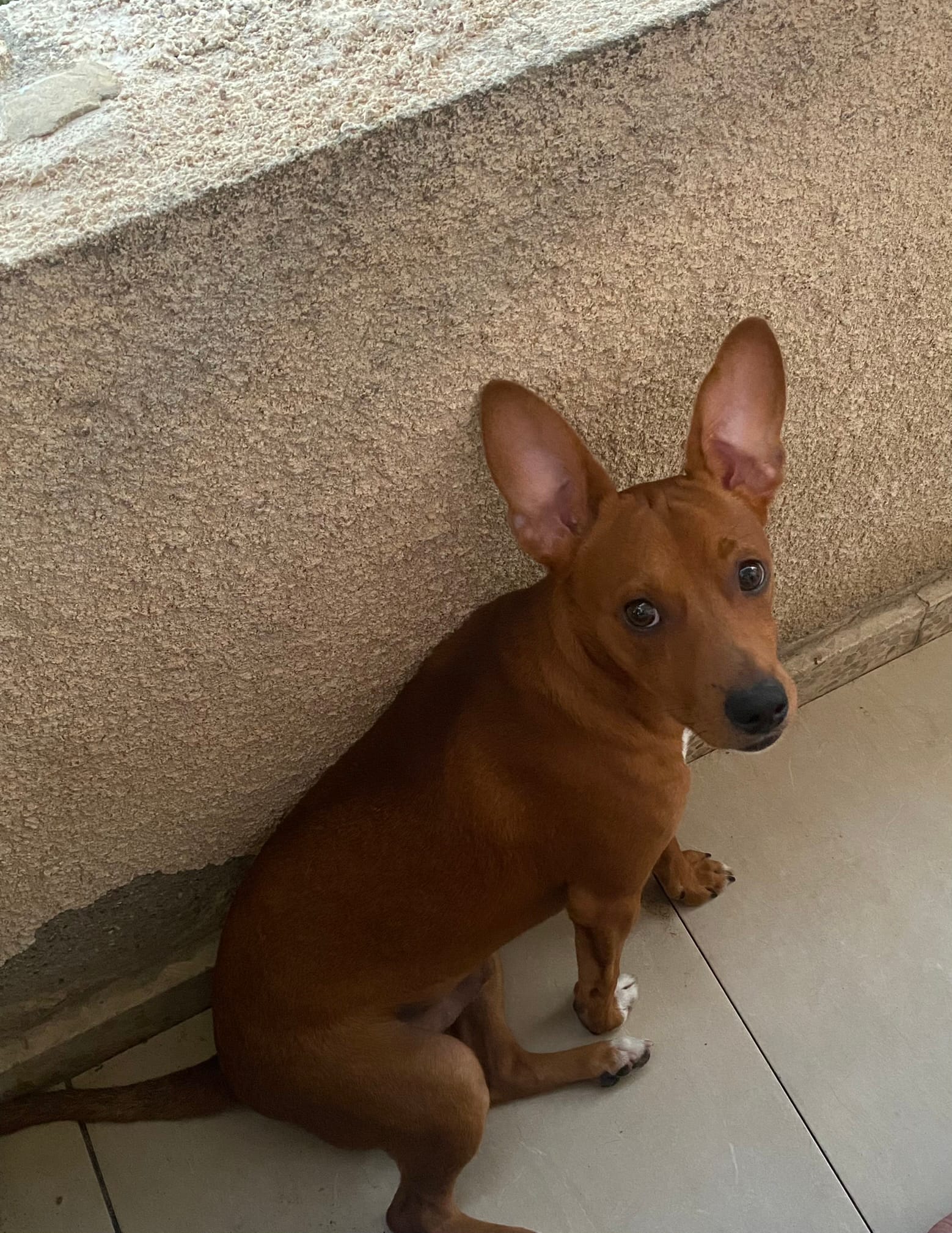 4F781A2D-342D-473F-B9D5-290A3E75A56A