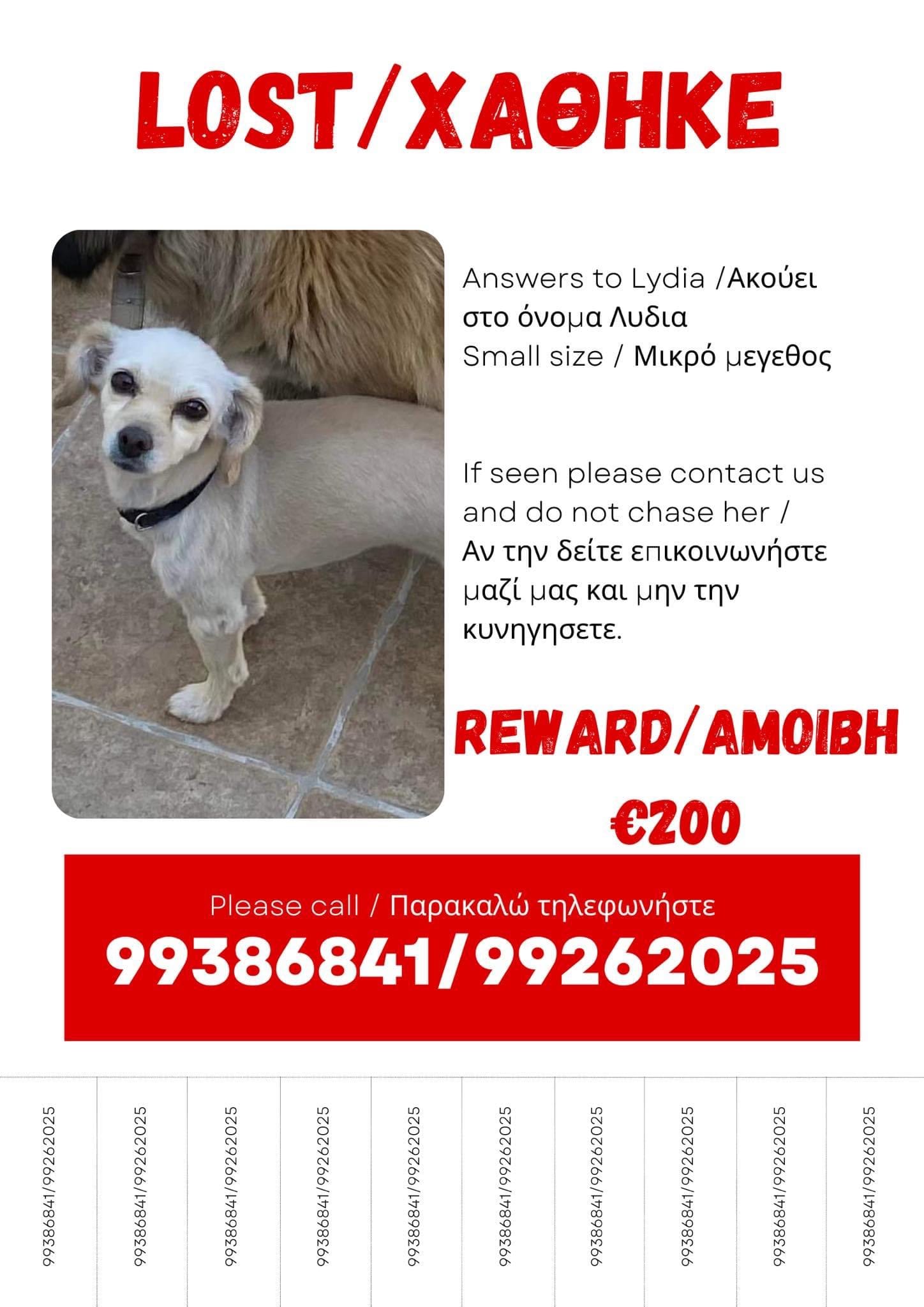 538411F1-DFD4-4DA6-A6F0-6DC0AEB9669B