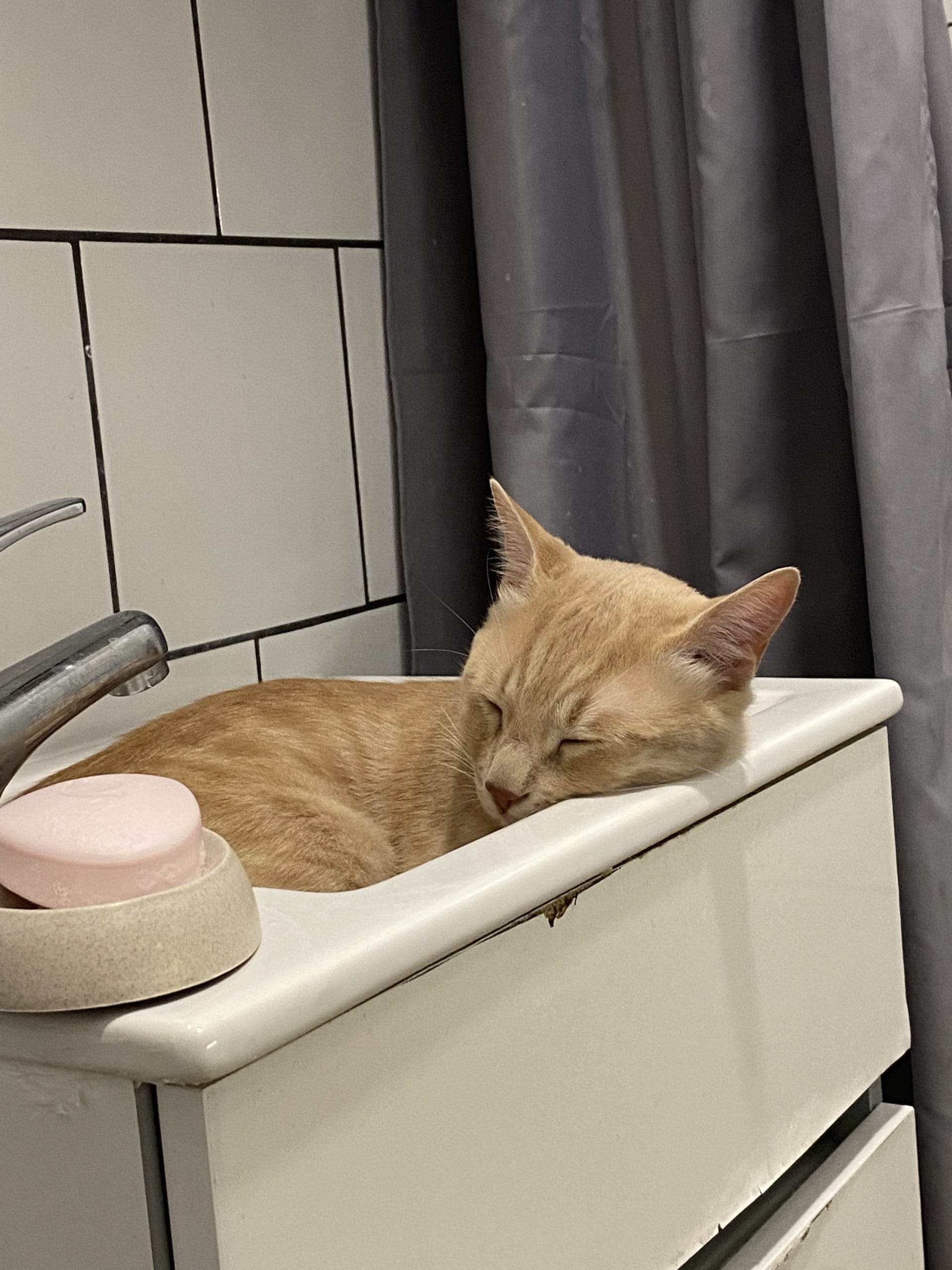 C68D0F9A-6317-439E-9DD3-7E564B4E1BEF