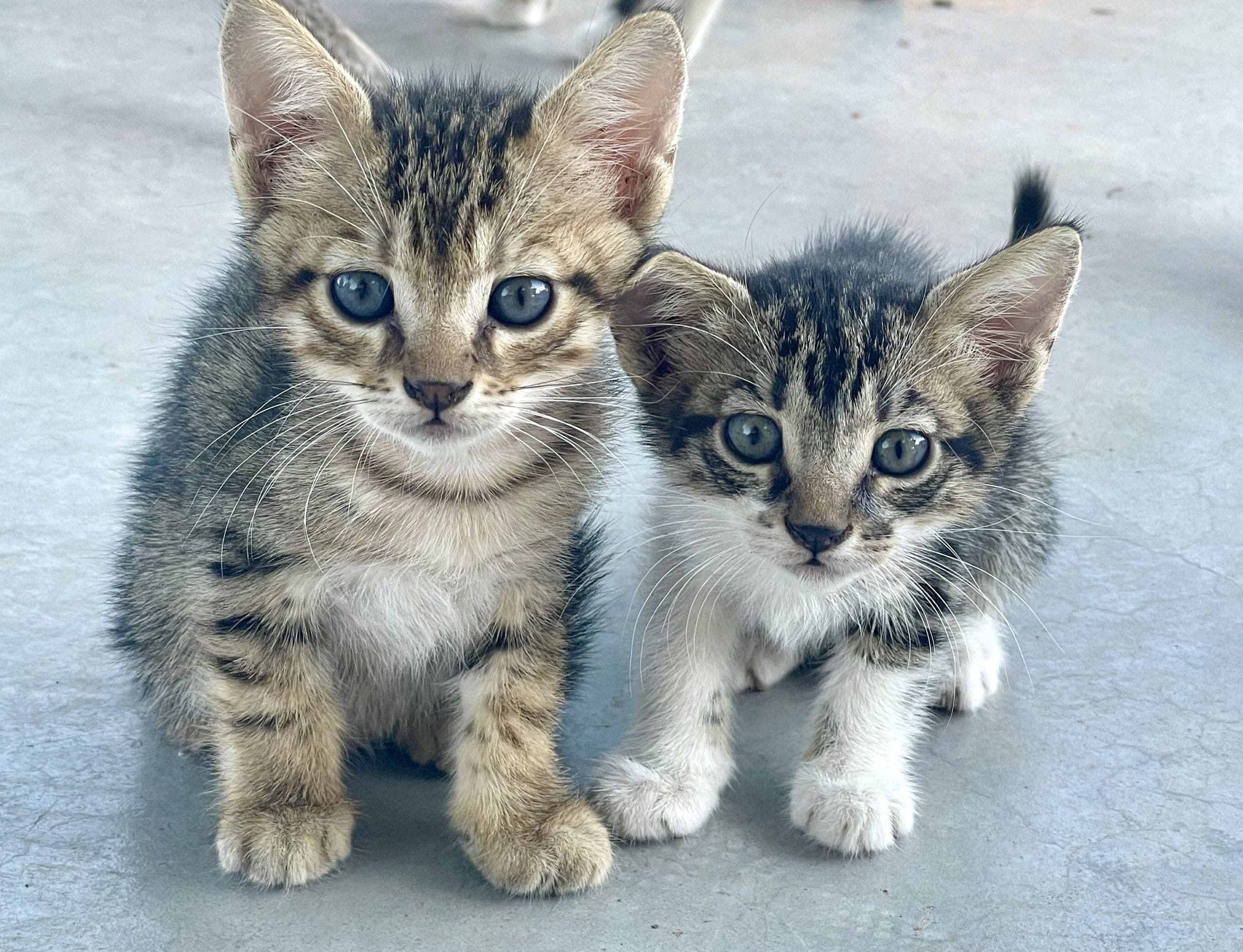 F4801006-C42D-4219-9480-0D3A2EC591B5