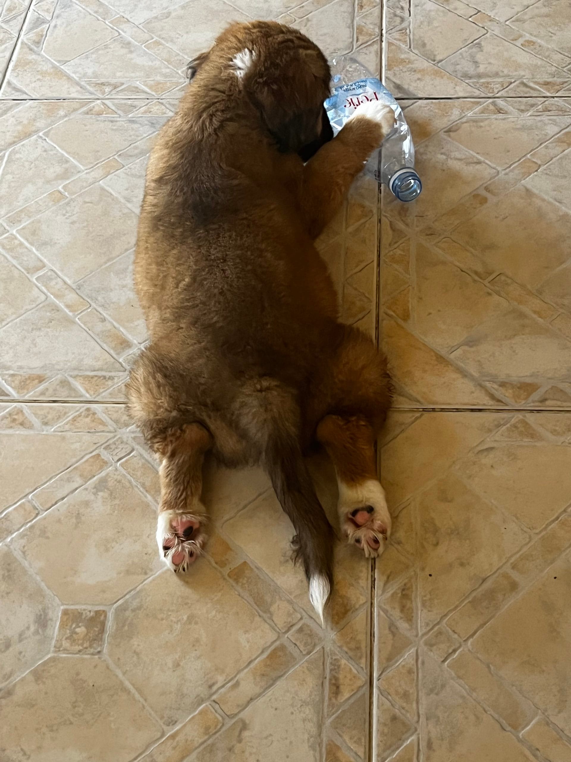 013F28E5-82CA-486A-BD1A-C47D67BC18D3-scaled-1